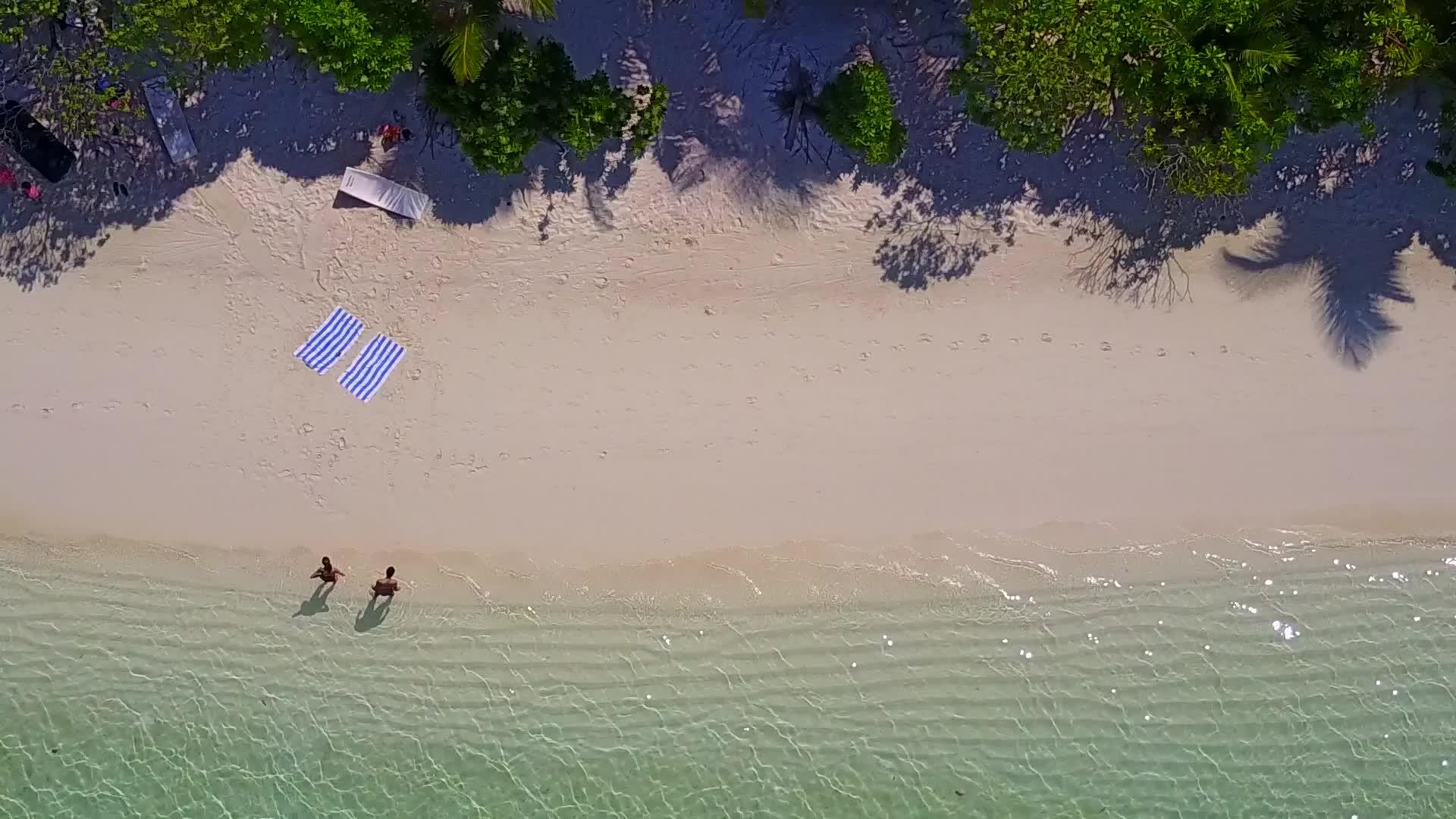 浅水和白色沙滩附近的海滩生活方式在棕榈树上抽象阳光明媚完美完美视频的预览图