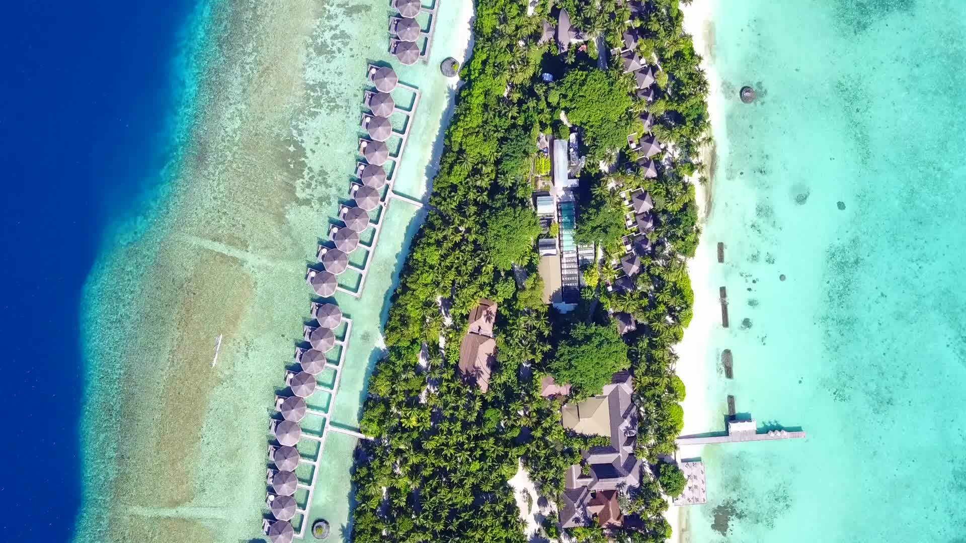 伴随着蓝绿色的海滩度假棕榈树附近有白色的沙滩背景视频的预览图