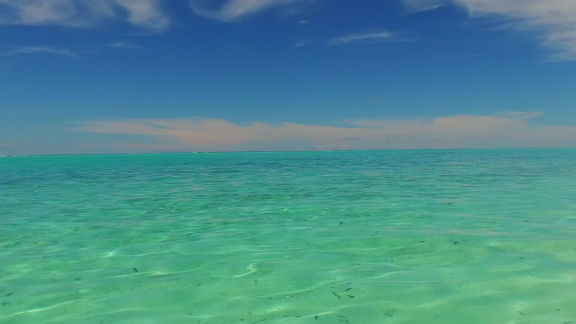 温暖的海滩野生动物浅水和白沙靠近沙洲视频的预览图