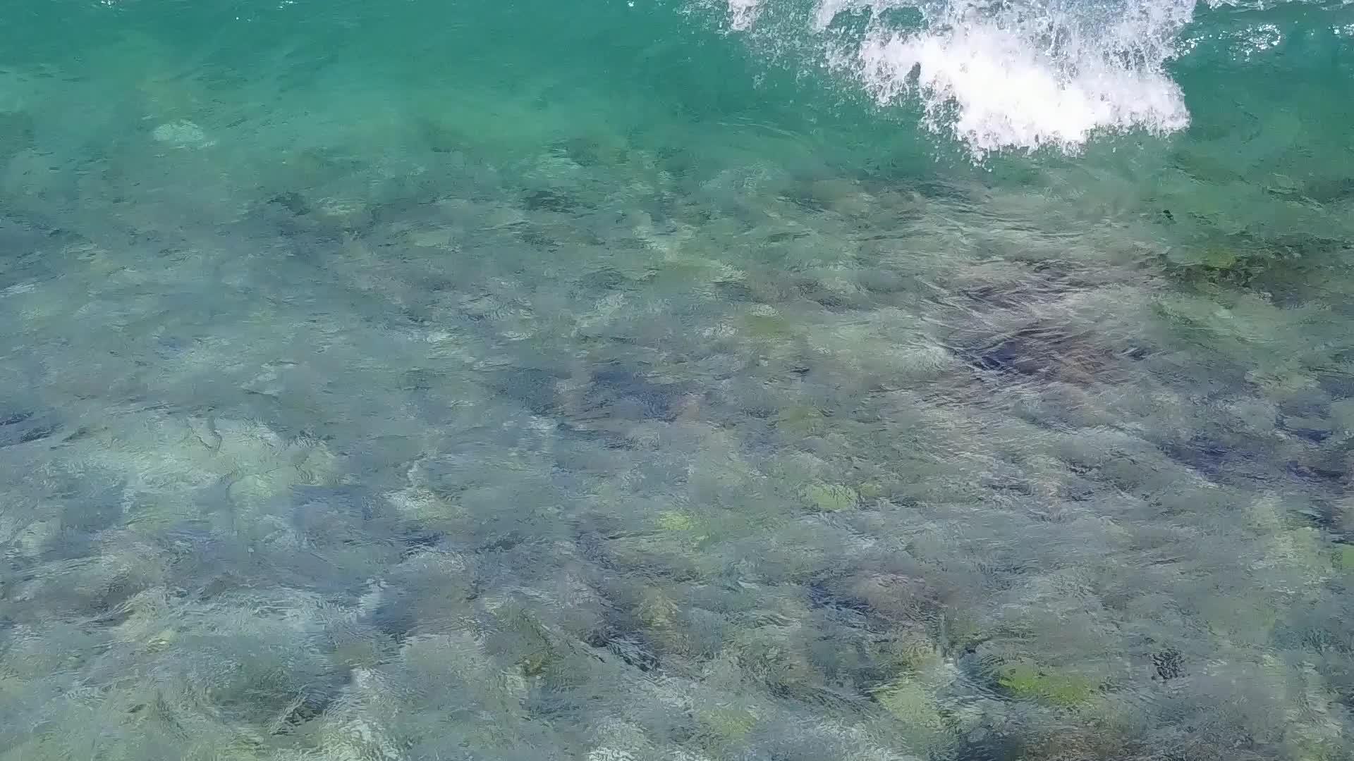 棕榈树附近有白沙背景的海蓝环礁湖完美的海岸海滩冒险的空中风景视频的预览图