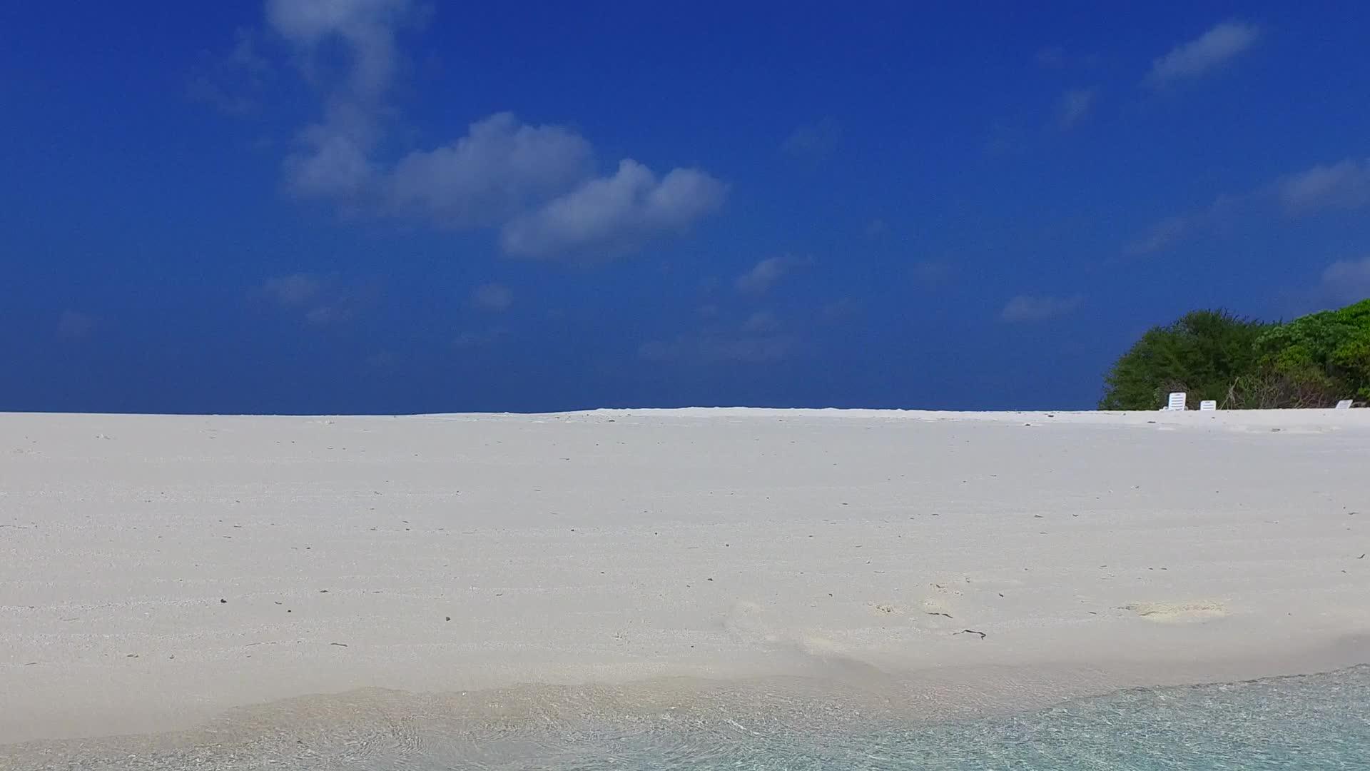 旅游海滩的野生生物通过透明的水和阳光下的白色海滩背景使旅游海滩视频的预览图