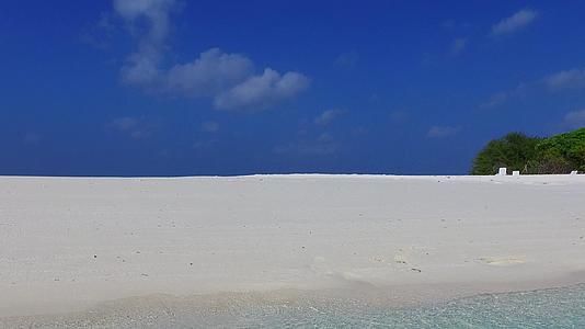 旅游海滩的野生生物通过透明的水和阳光下的白色海滩背景使旅游海滩视频的预览图