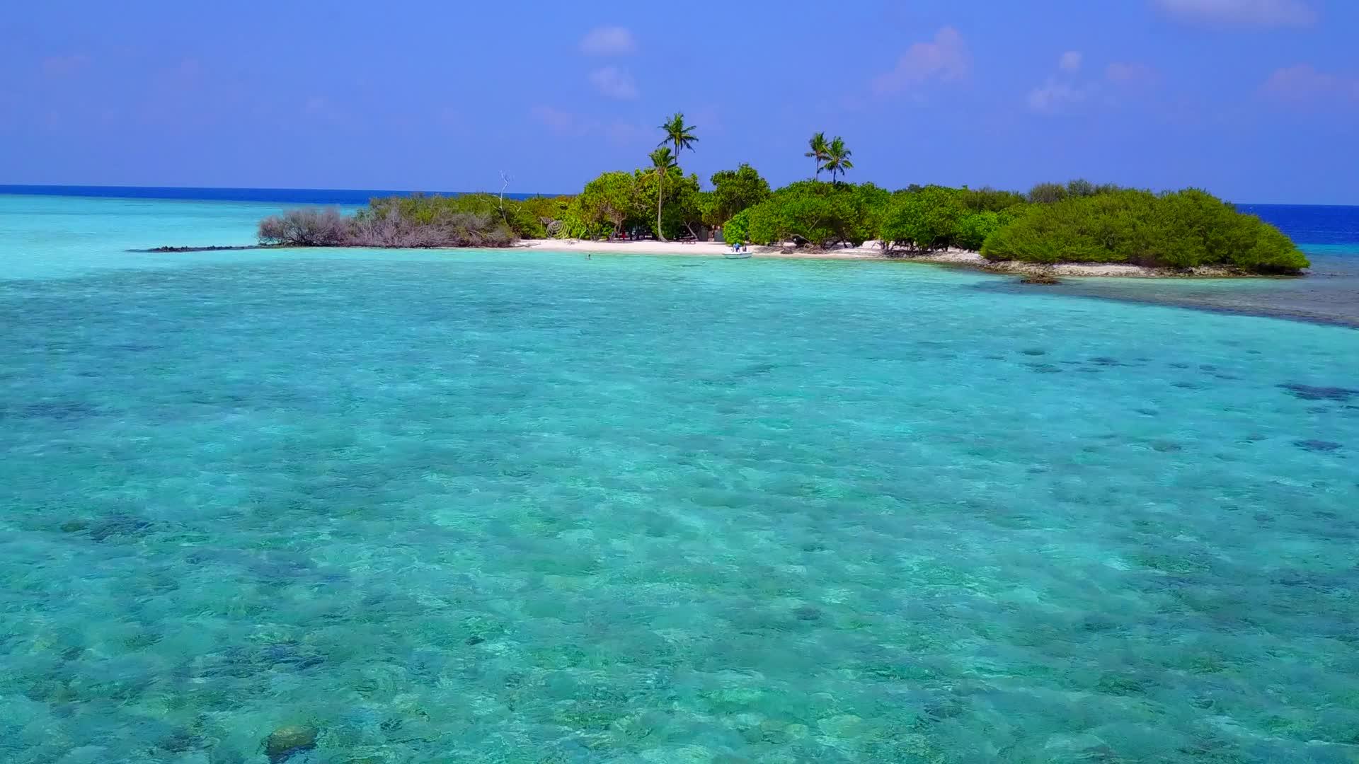 完美的岛屿海滩野生海滩以浅海和接近海浪的白色海滩为背景视频的预览图