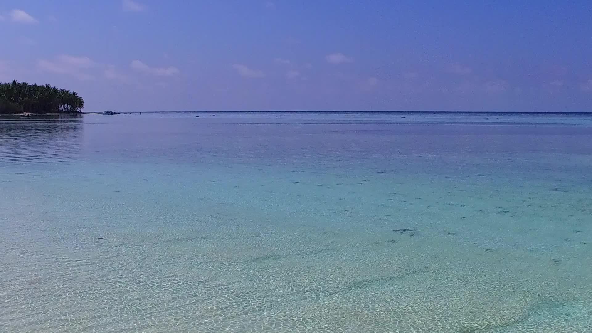 海滩野生生物海洋景观通过蓝海和棕榈树附近清洁沙地的背景视频的预览图