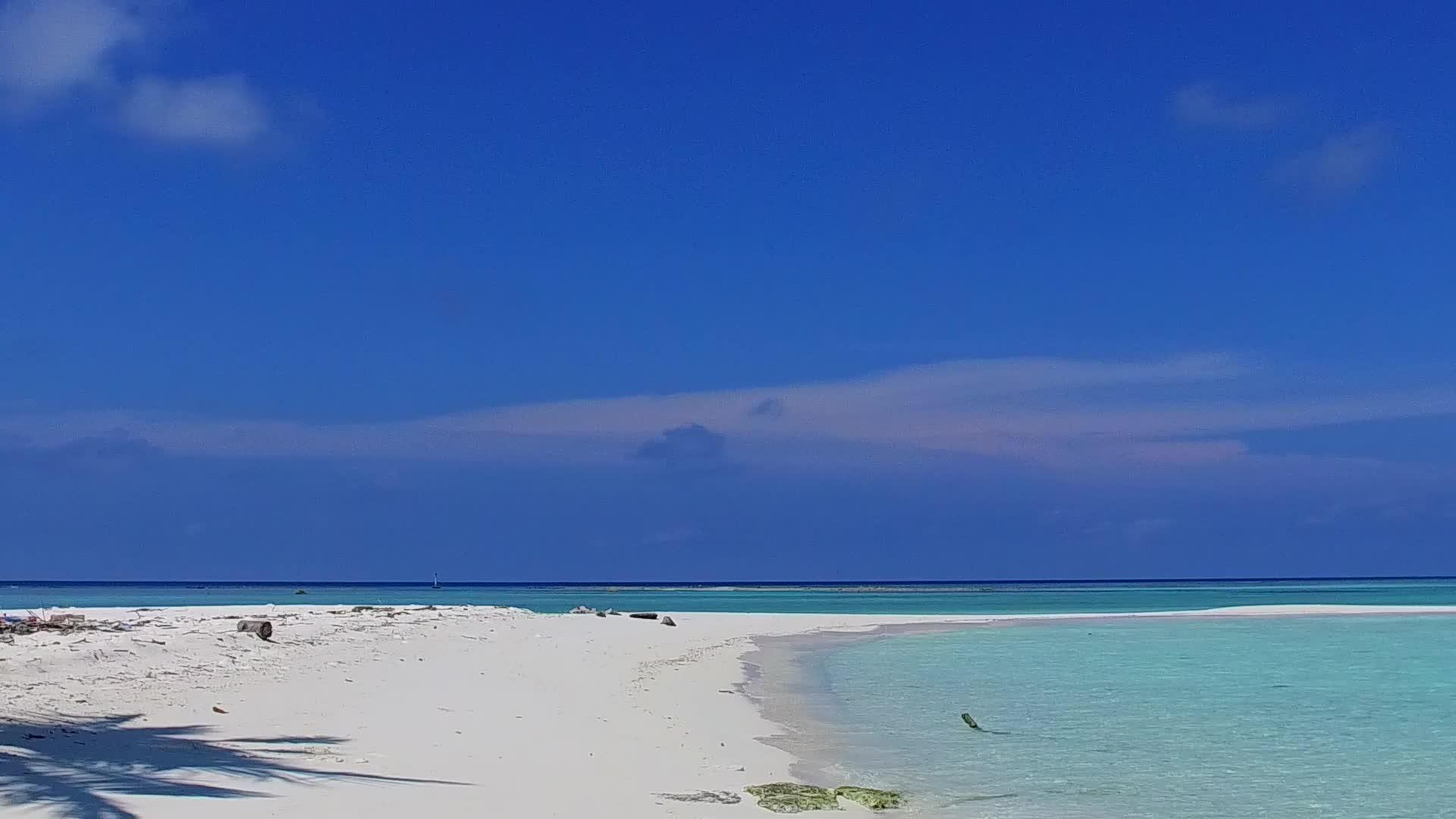 在阳光明媚的海边棕榈树附近有白色的沙滩背景视频的预览图