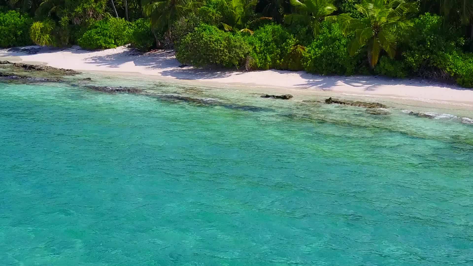 海滩探险由海浪附近的水蓝色海洋和白色海滩背景组成视频的预览图