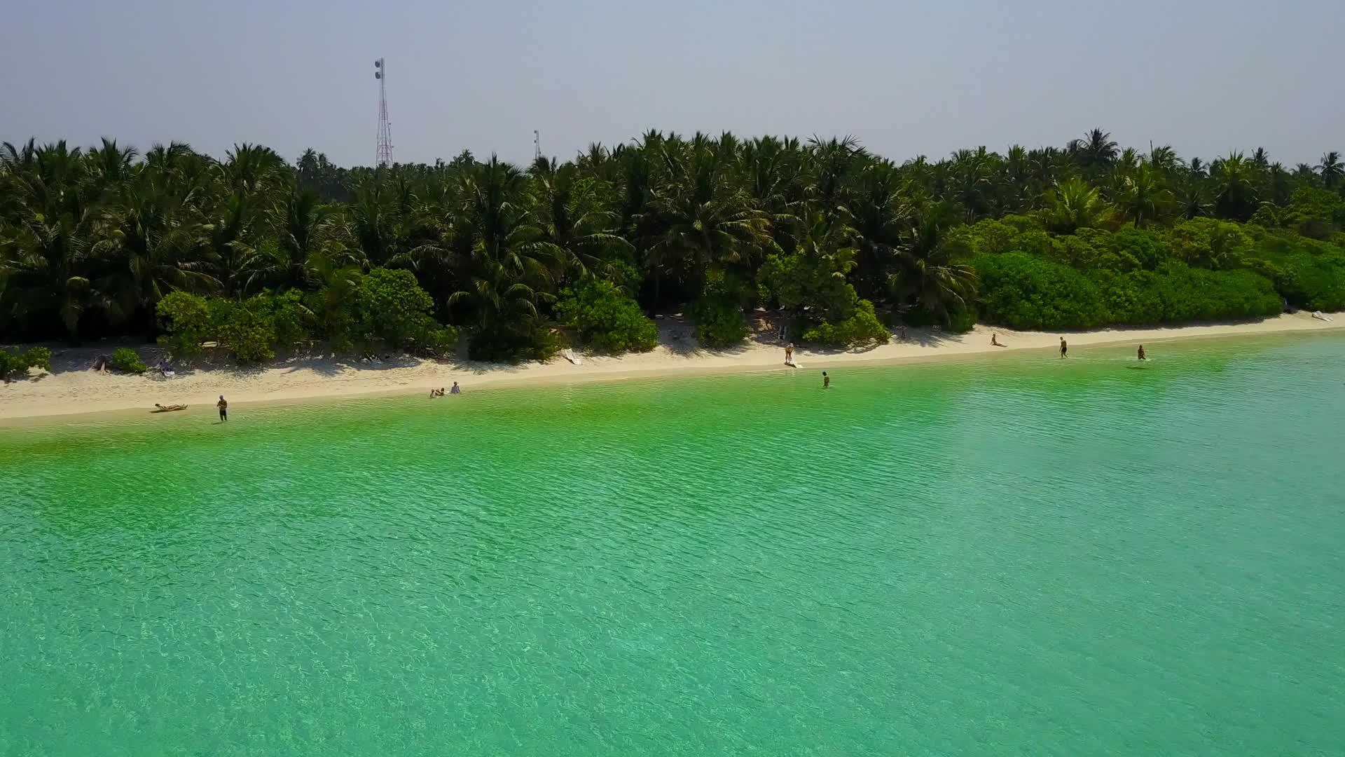 天堂海景海滩野生动物的阳光海景在海浪附近有一个白色的海滩视频的预览图