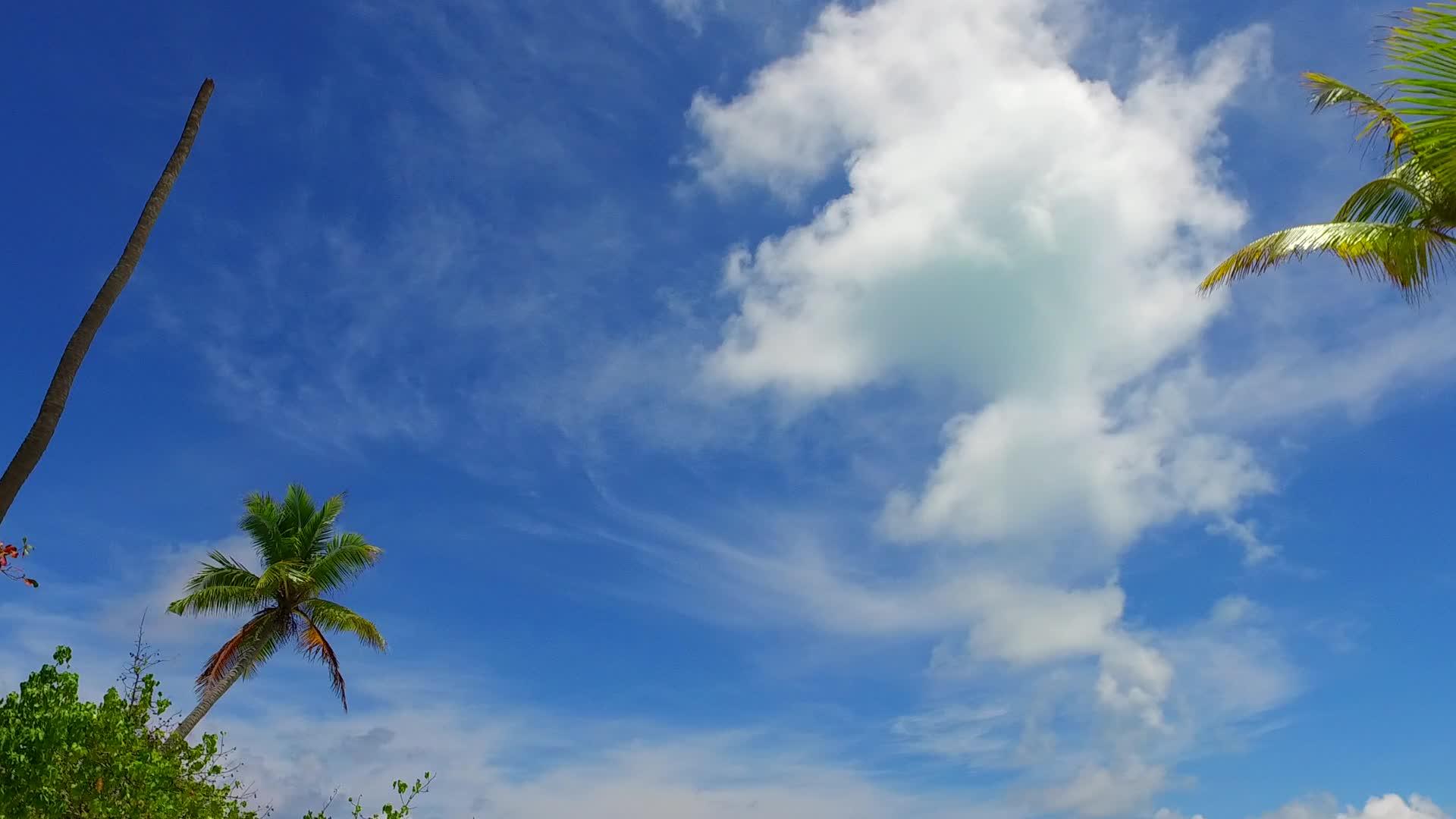 棕榈树附近的蓝色环礁湖和白色沙滩背景的海滩节热全景视频的预览图