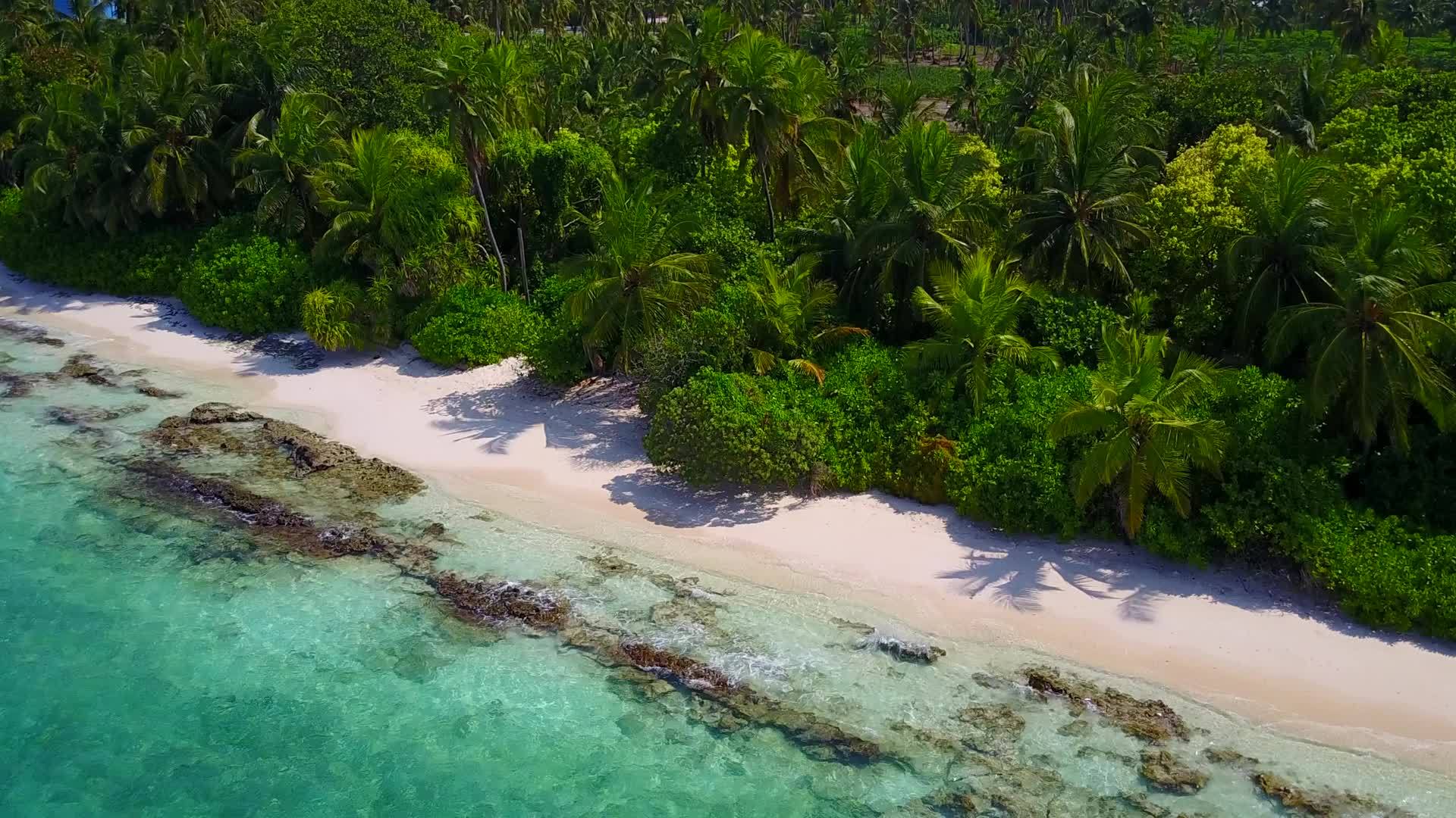 蓝色的海洋和干净的沙质背景下的天堂度假村海滩生活视频的预览图