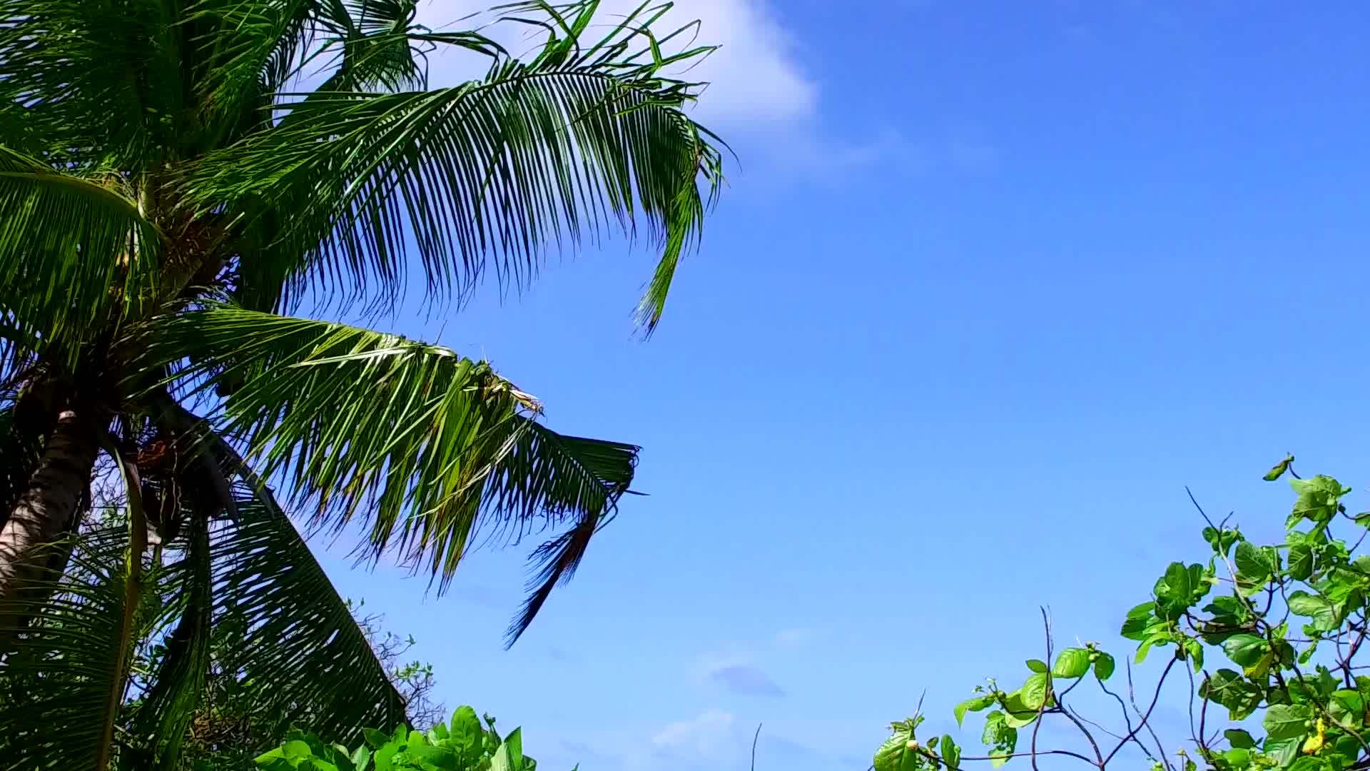 放松环礁湖海滩之旅的浪漫抽象视频的预览图