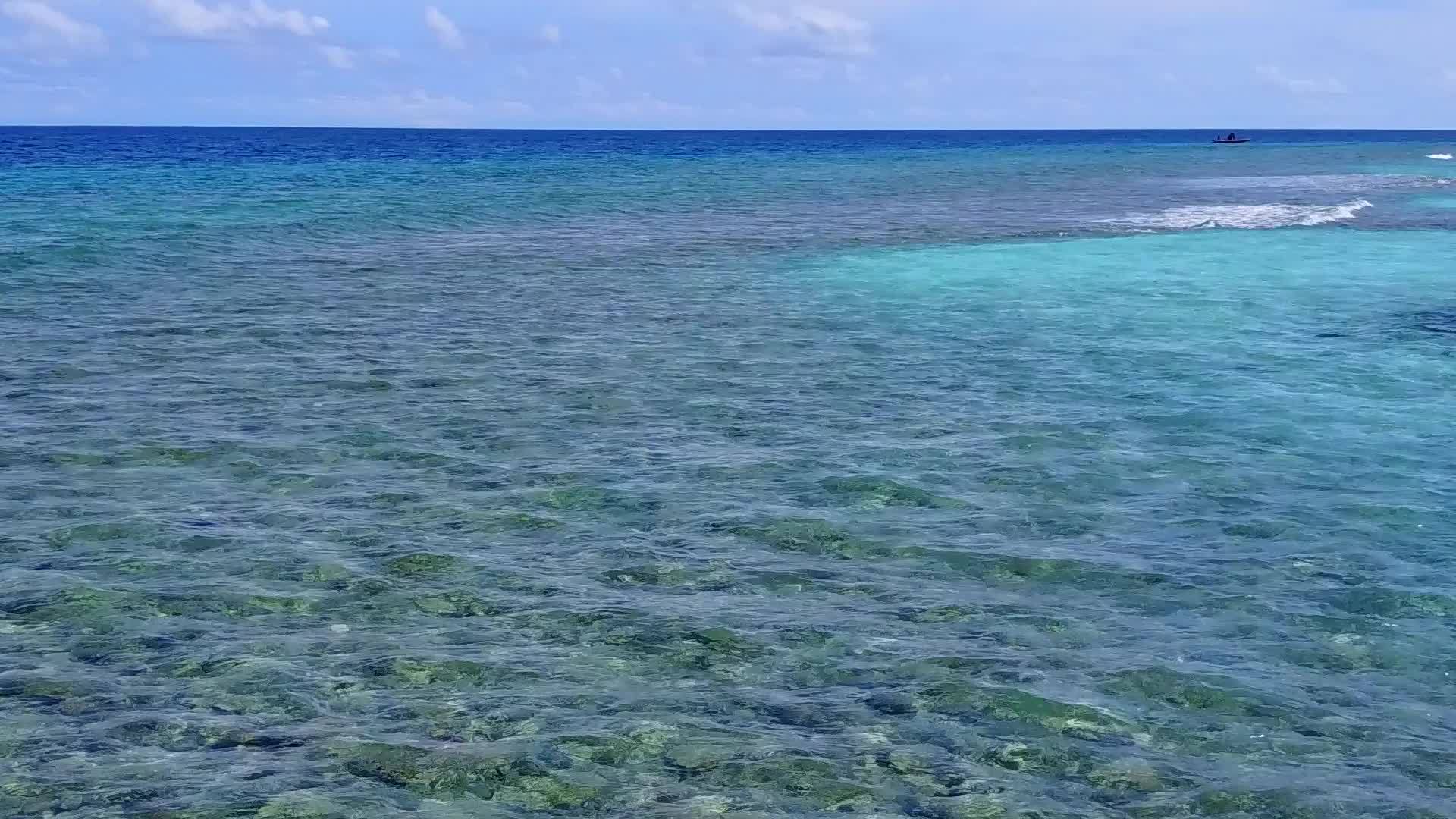 蓝色的绿色海洋和棕榈树附近的白沙背景是一个安静的海滨旅行视频的预览图