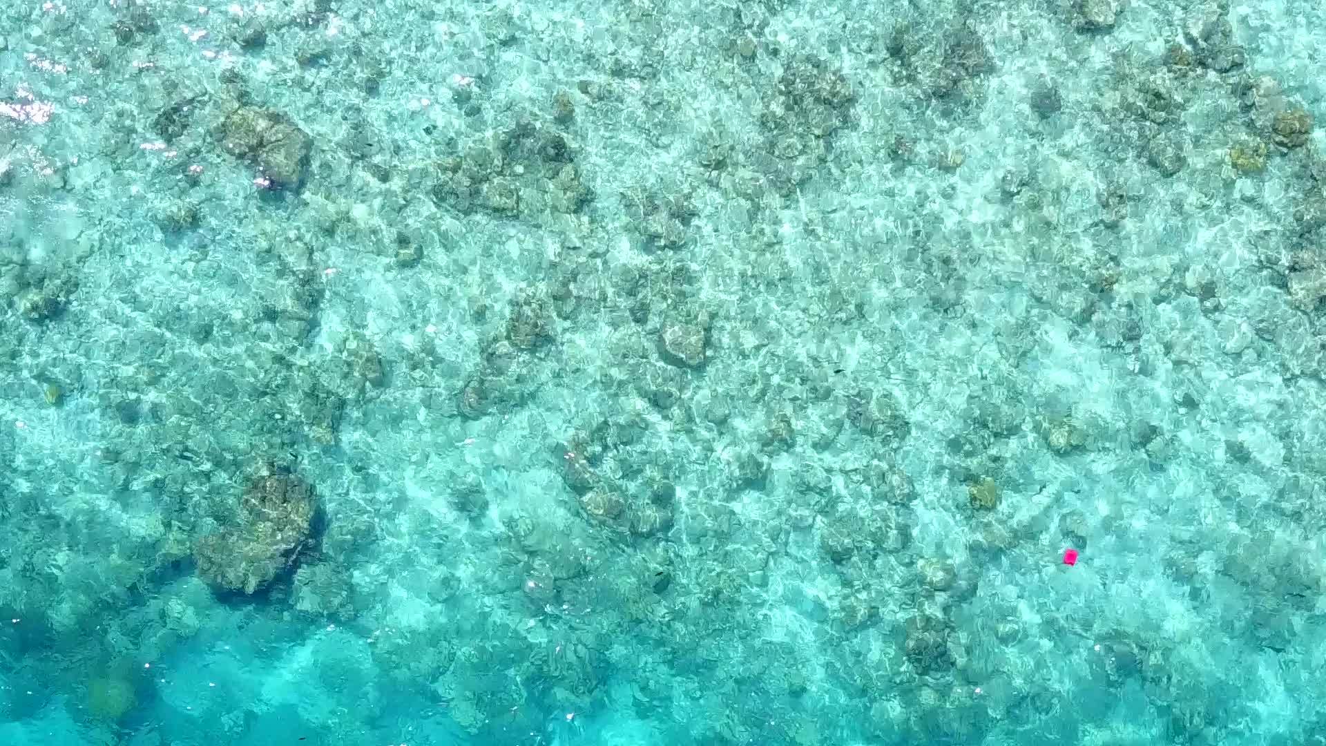 美丽的度假胜地海滩冒险空纹理蓝环礁湖珊瑚礁附近视频的预览图