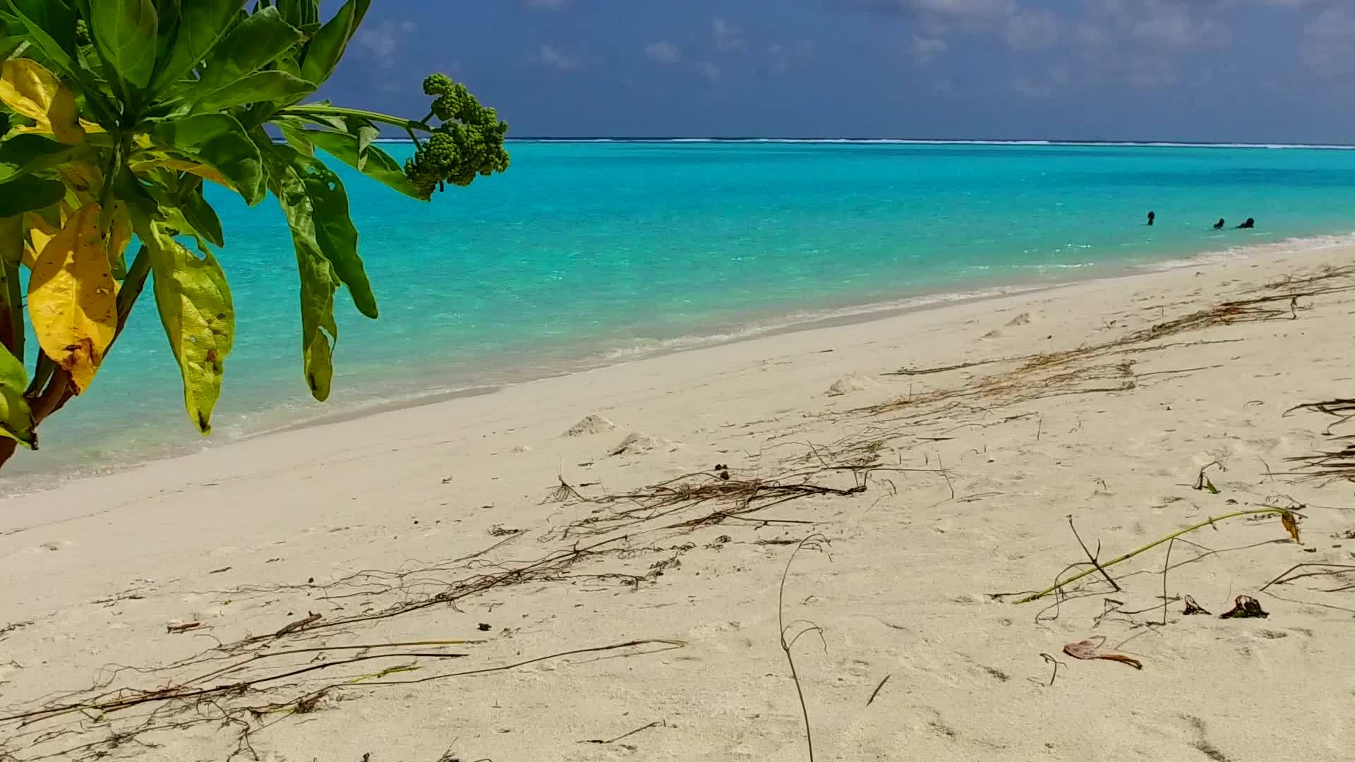 浅滩附近的白沙背景绿松石环礁湖在海滩上冒险视频的预览图