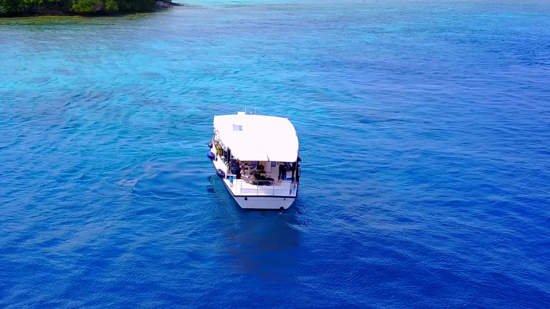 在棕榈树附近的水蓝环礁湖上有白色的沙滩背景视频的预览图