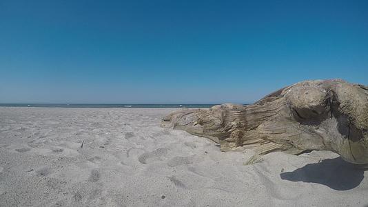 黄海沙滩上的浮木视频的预览图