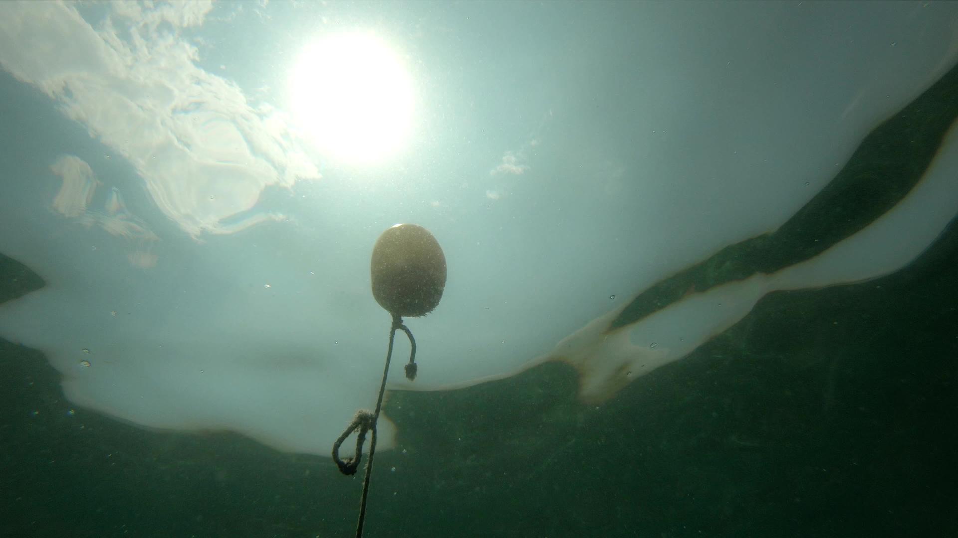 在水下海滩的绳子上看到保护性浮标视频的预览图