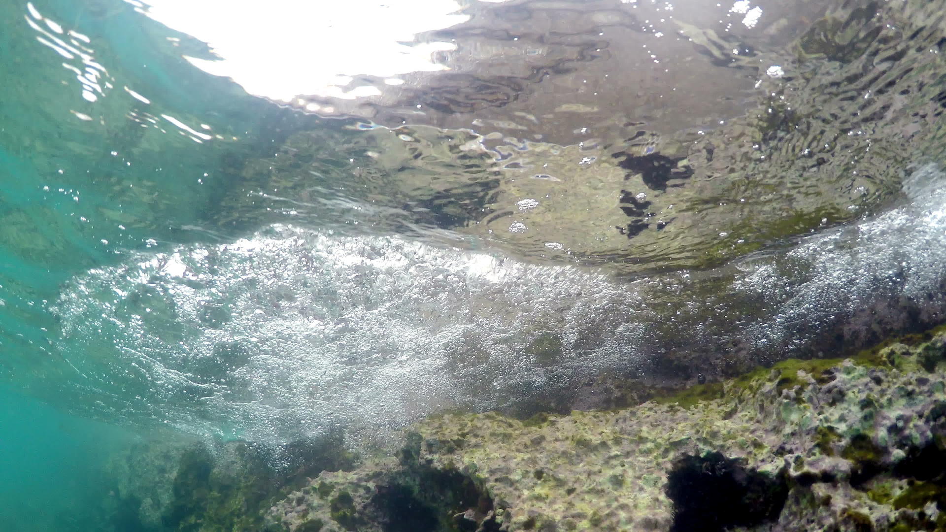 摄像机在五颜六色的珊瑚礁和绣花猪的海浪上挥舞着视频的预览图
