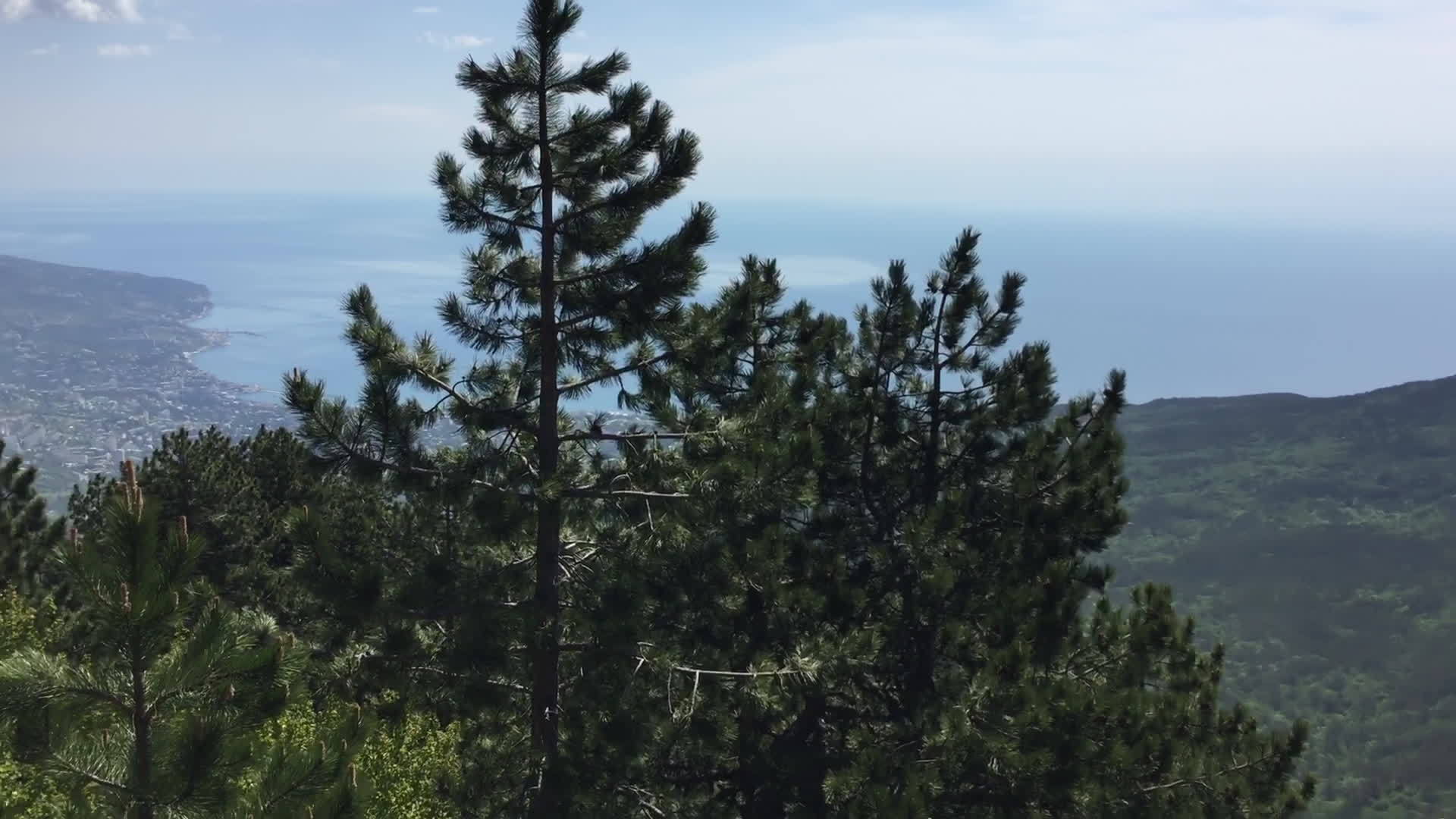 海谷和沿海城镇从巨大的山顶森林中泛光视频的预览图