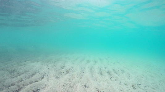 浮动相机显示海底沙丘视频的预览图