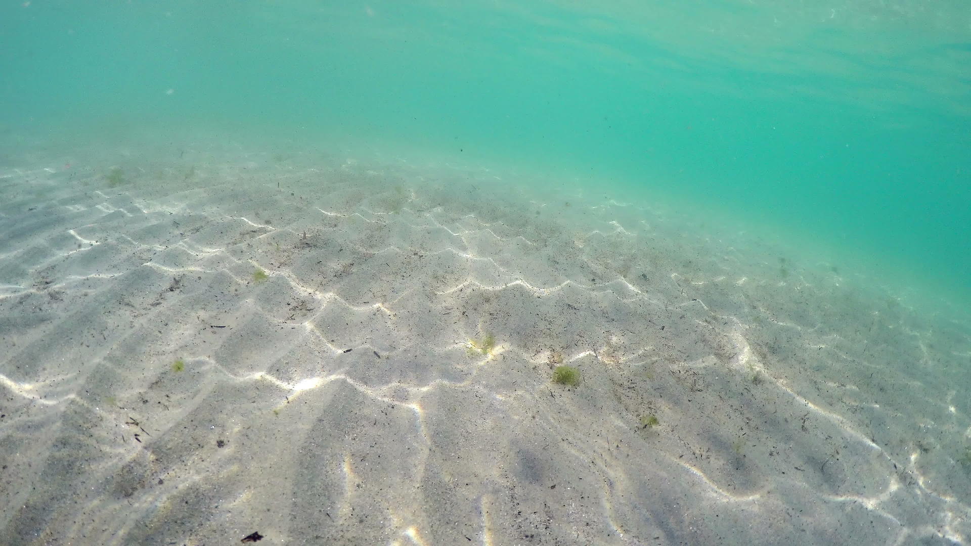 红海中阳光结构的沙沙海视频的预览图