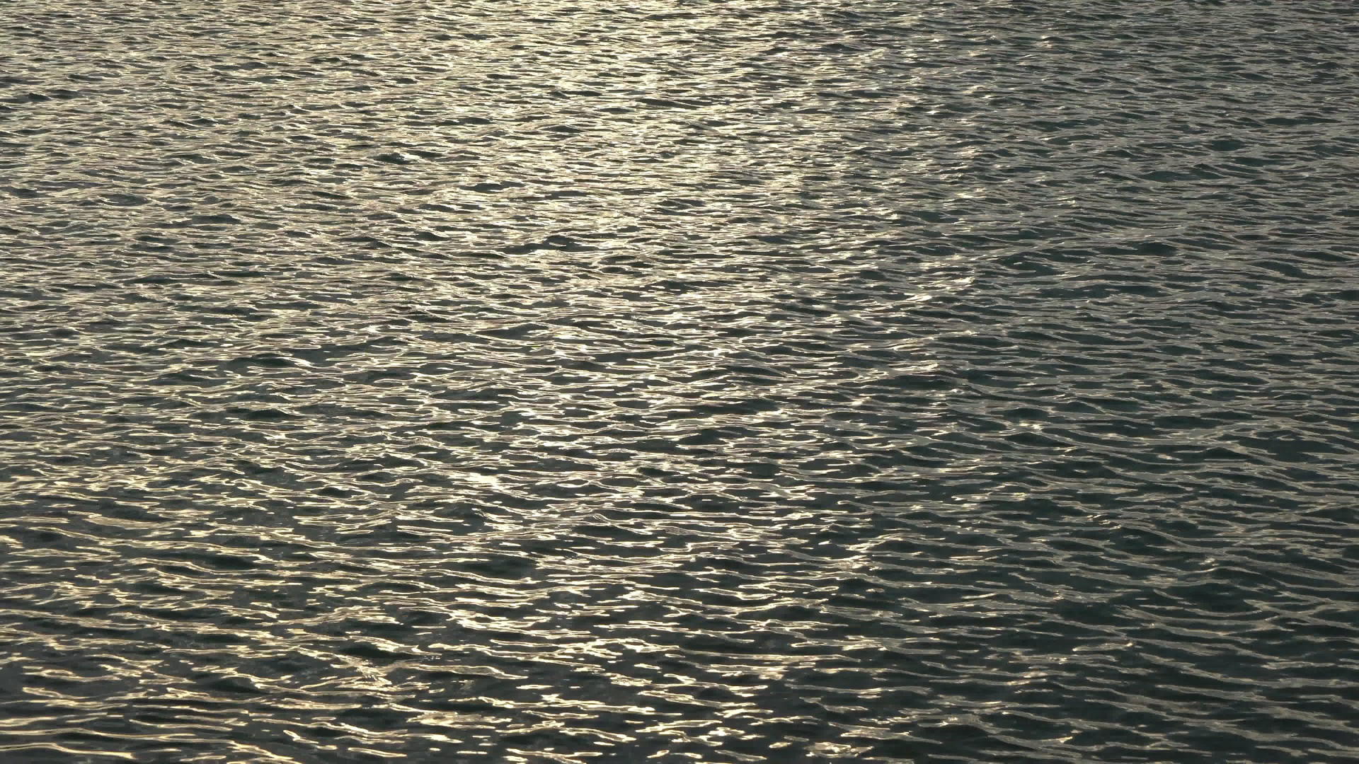 阳光反射在海里视频的预览图