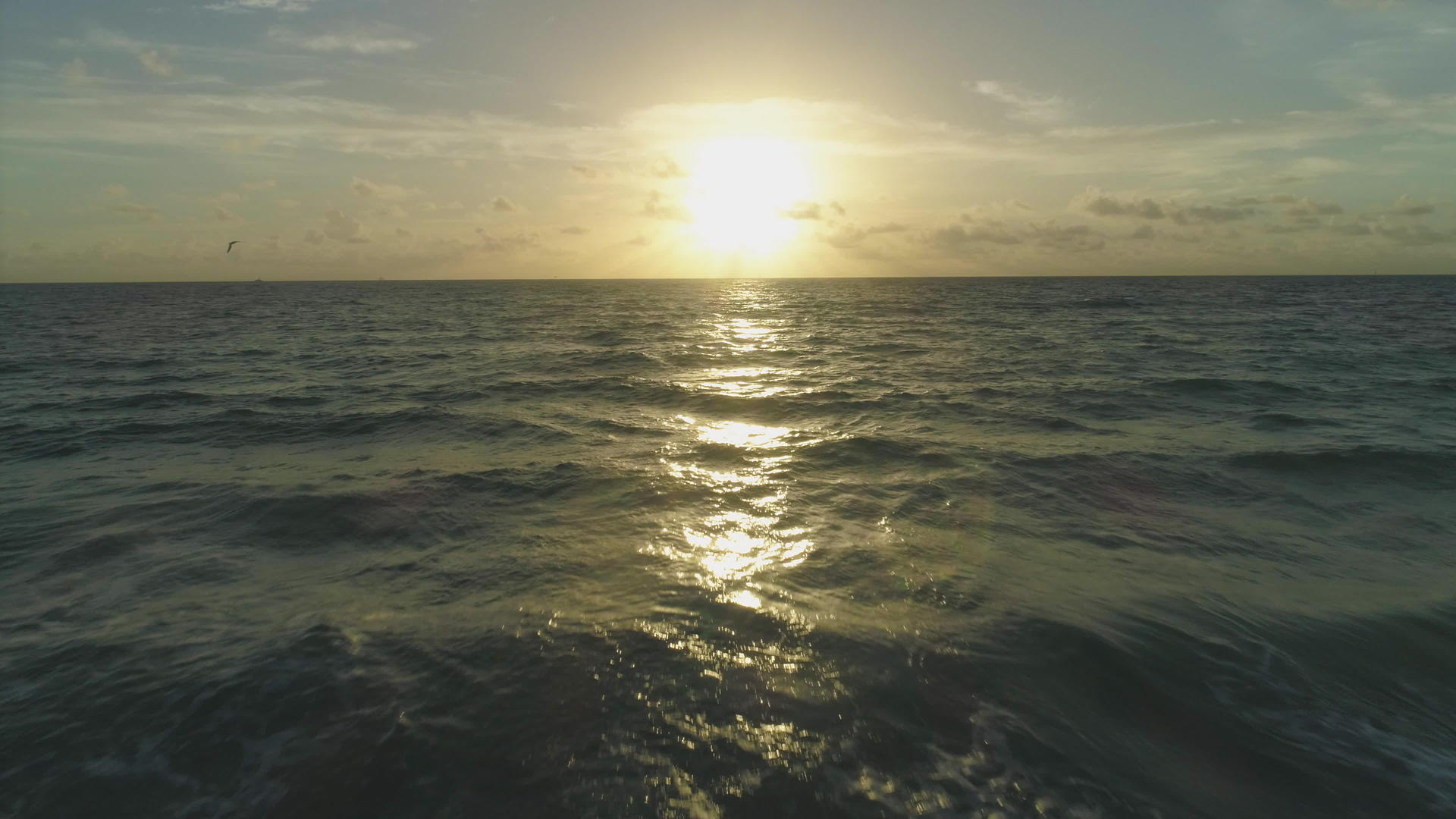 日出时低水平的海空飞行视频的预览图