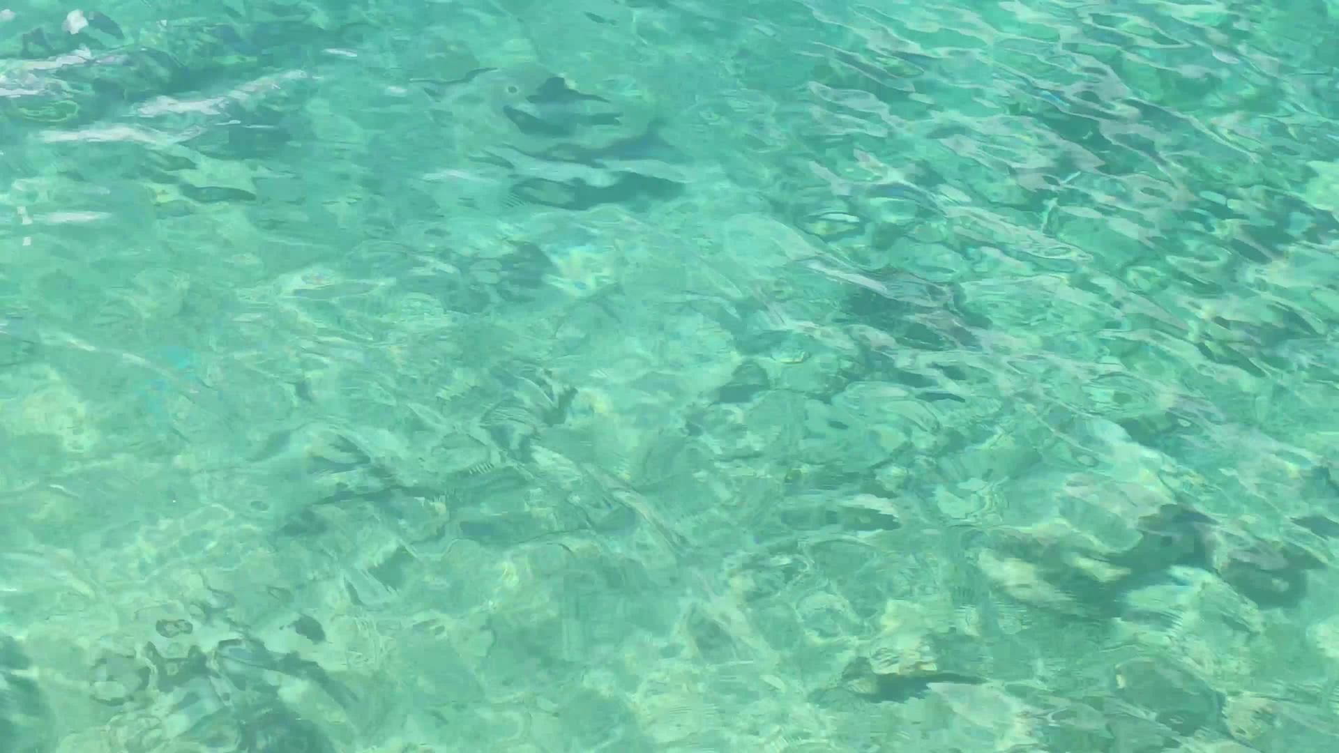 清澈的加勒比海水视频的预览图