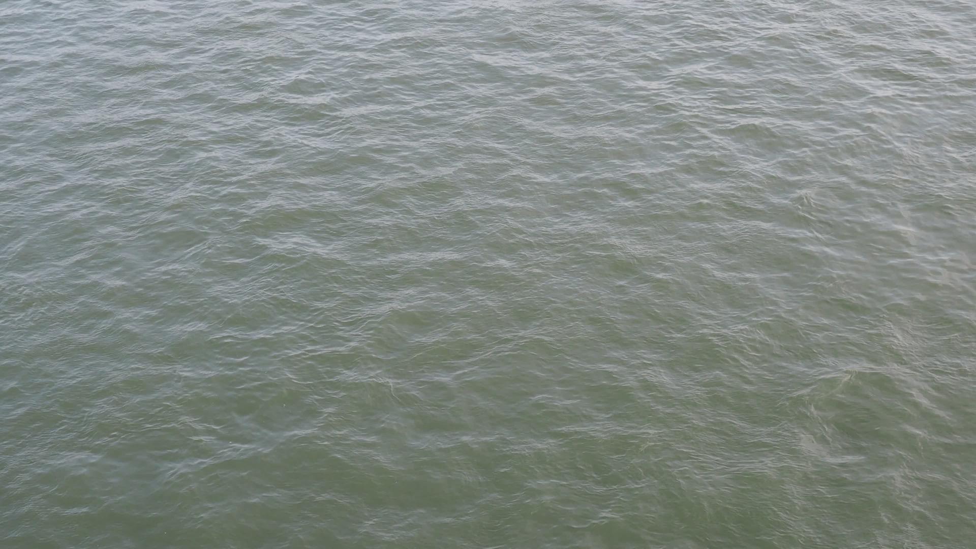 海水水波视频的预览图