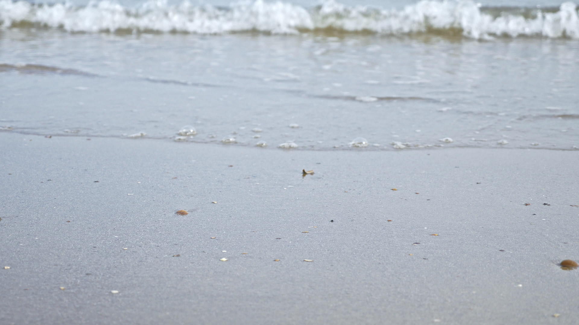 海浪沙滩视频的预览图