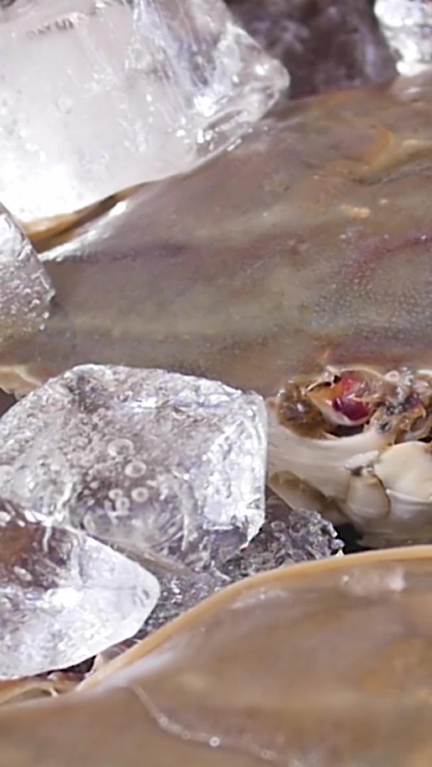 营养大闸蟹视频的预览图