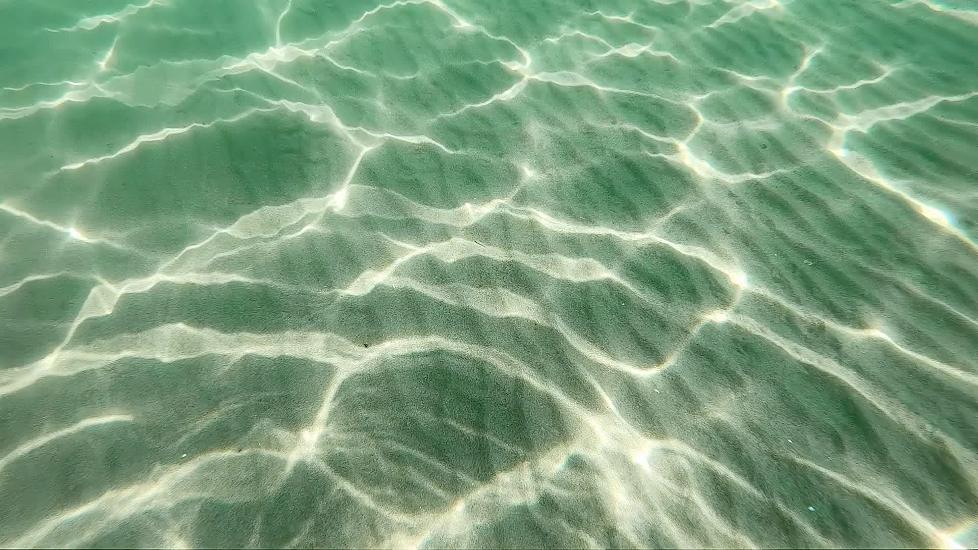 热带海水晶清水的水深视频的预览图