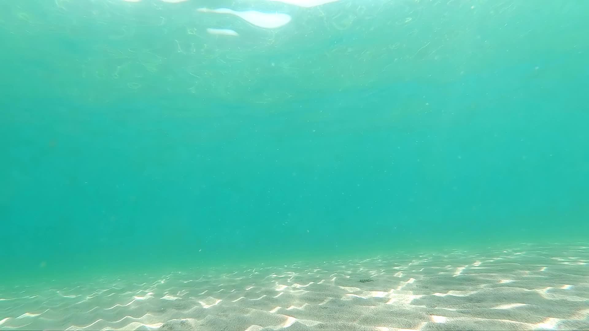 清澈的蓝色海水和阳光在水下反射到表面视频的预览图