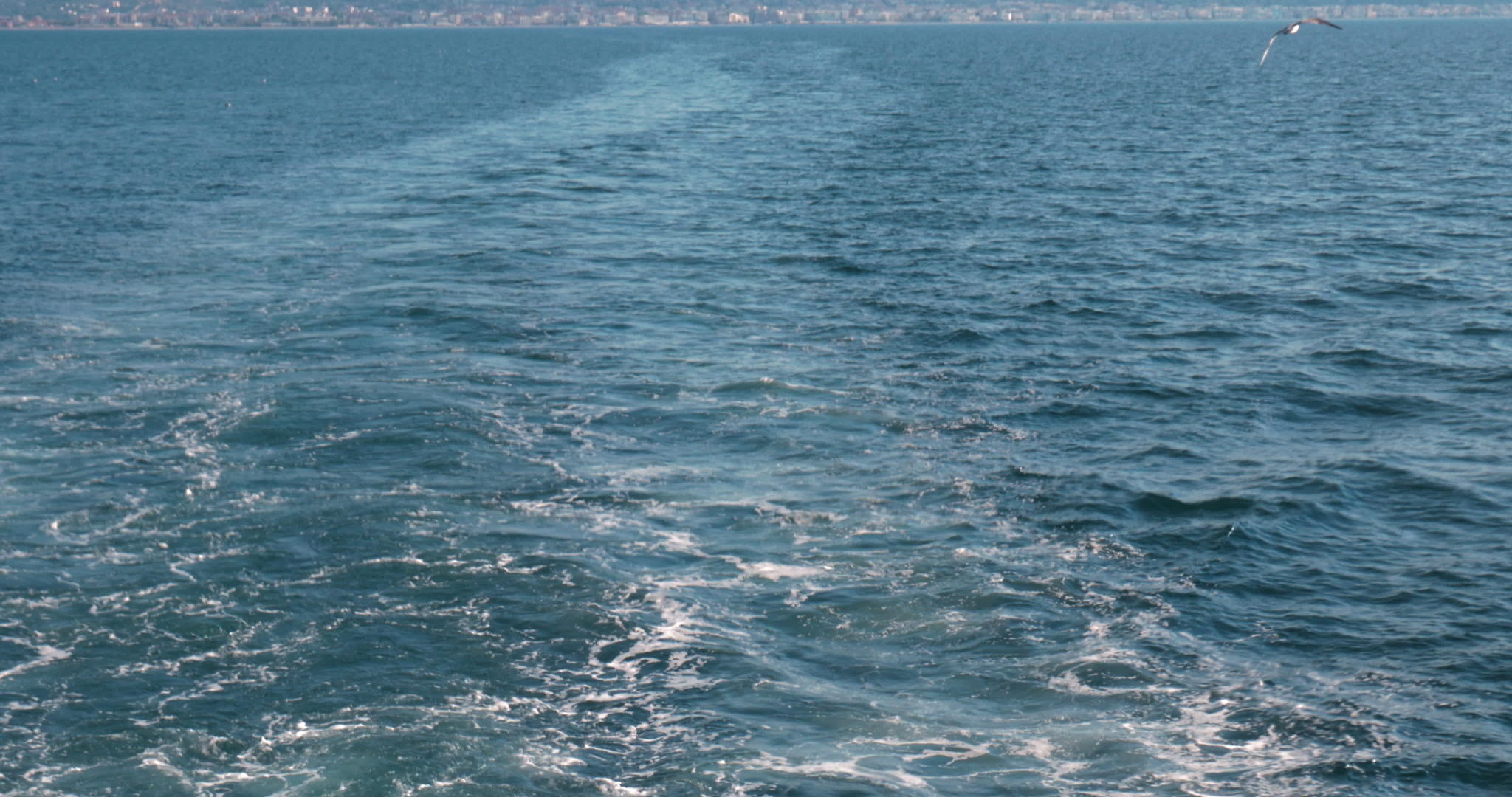 在美丽的海景背景下海洋中的海鸥在遥远的海洋深处飞翔视频的预览图