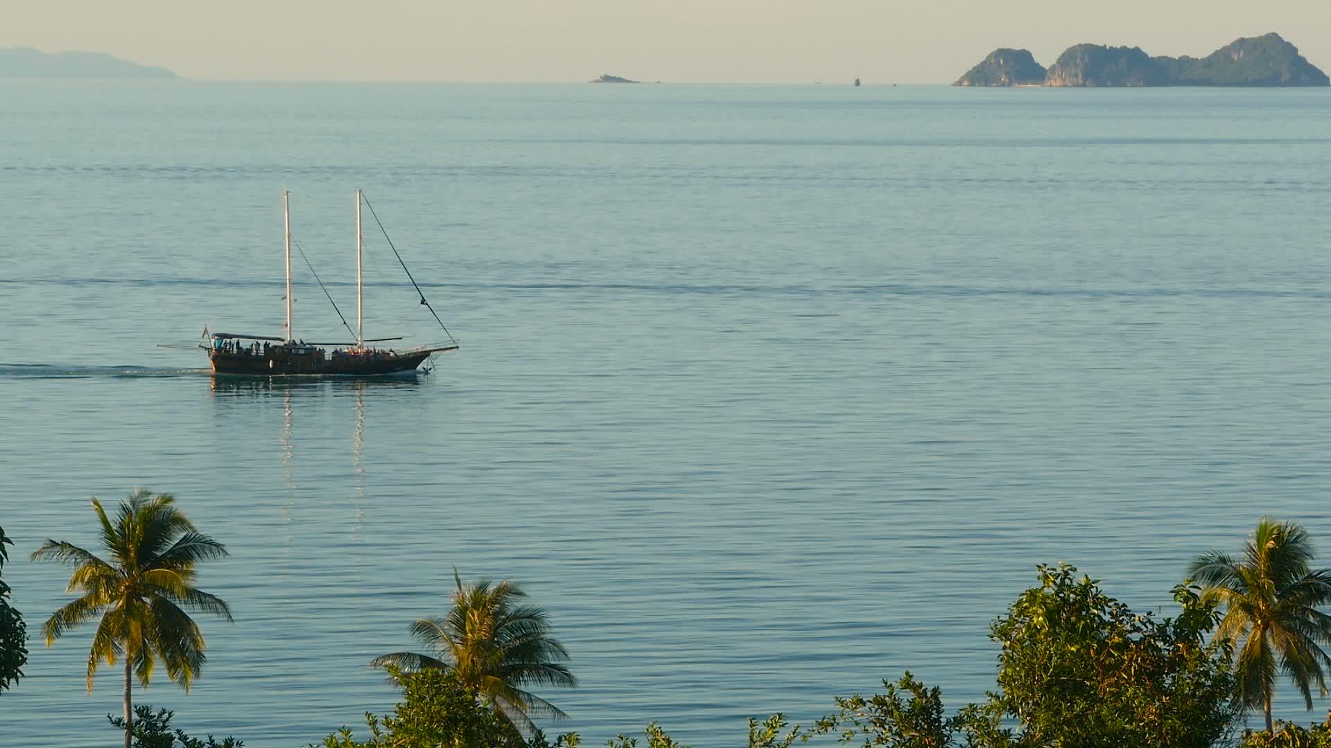 从上面可以看到平静的蓝色海洋、帆船和热带异国植物视频的预览图