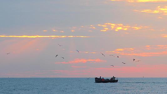 日落时的帆船海鸥飞过渔民的船背景中的日落在海上视频的预览图