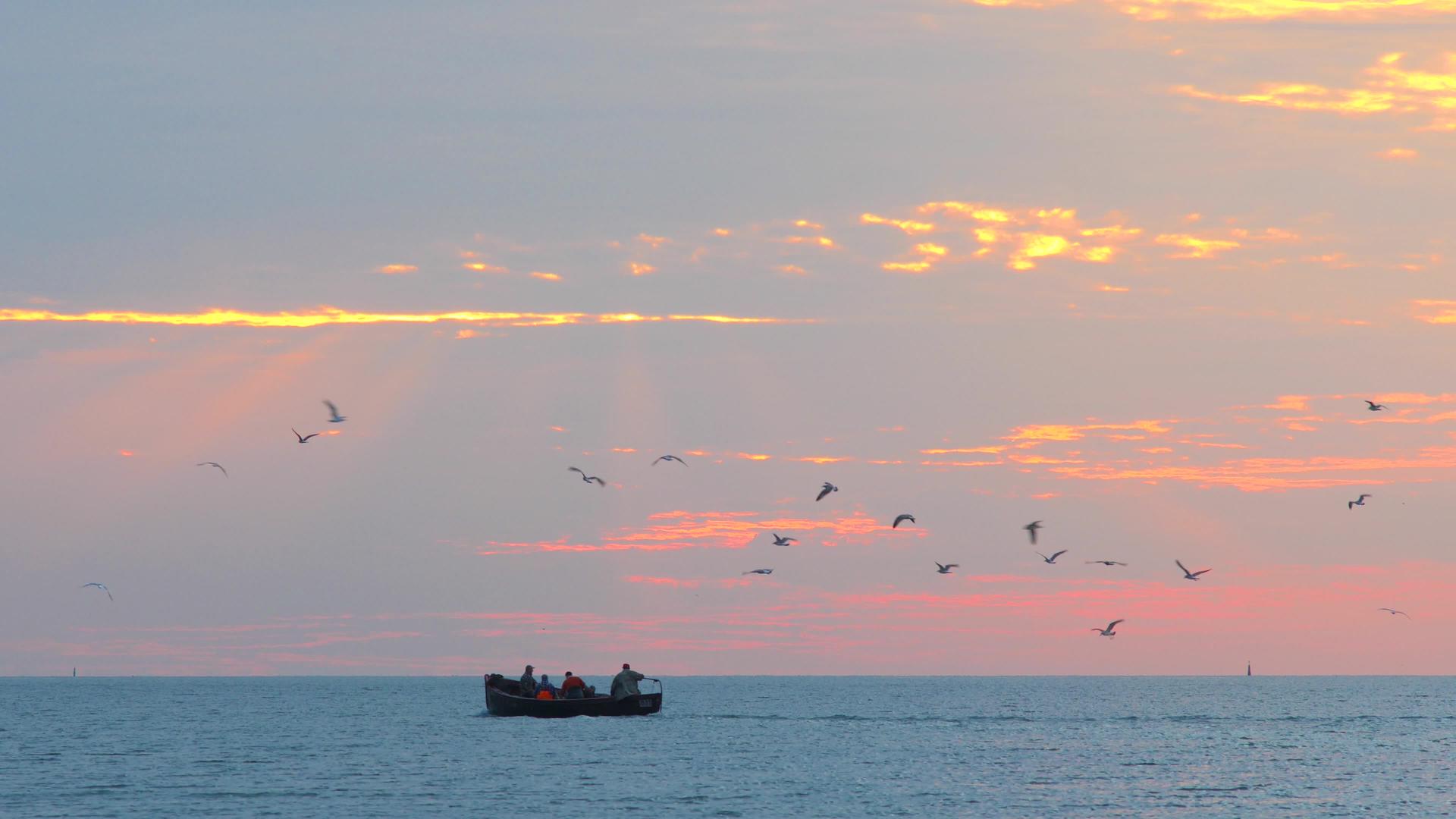 渔船和渔民的海景渔船的剪影是地中海成群的海鸟视频的预览图