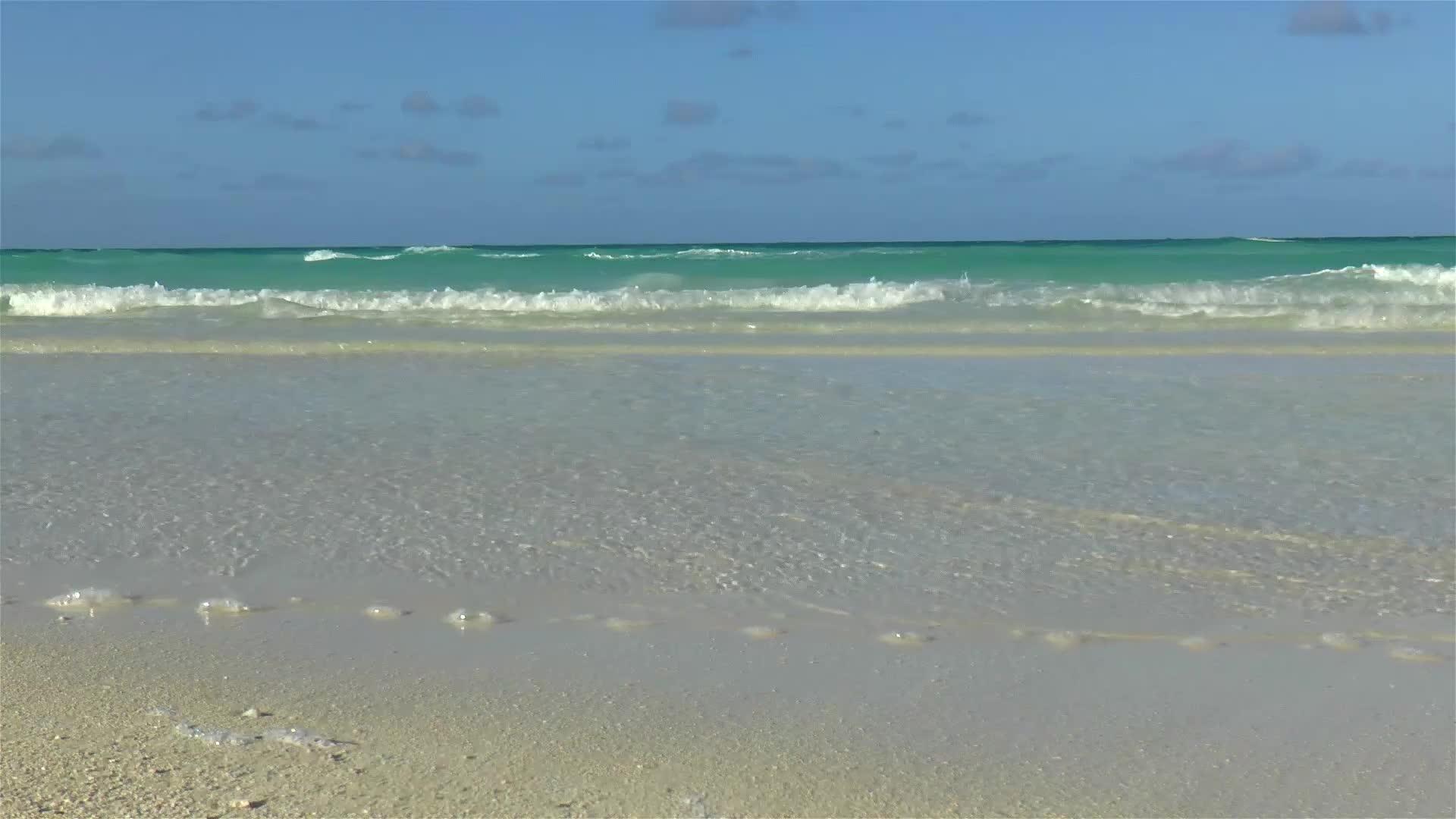 加勒比海滩视频的预览图