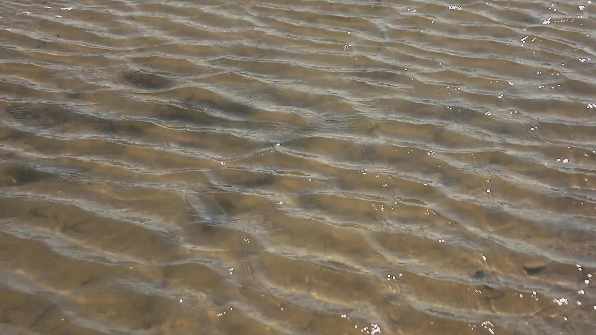 水运动纹理视频的预览图