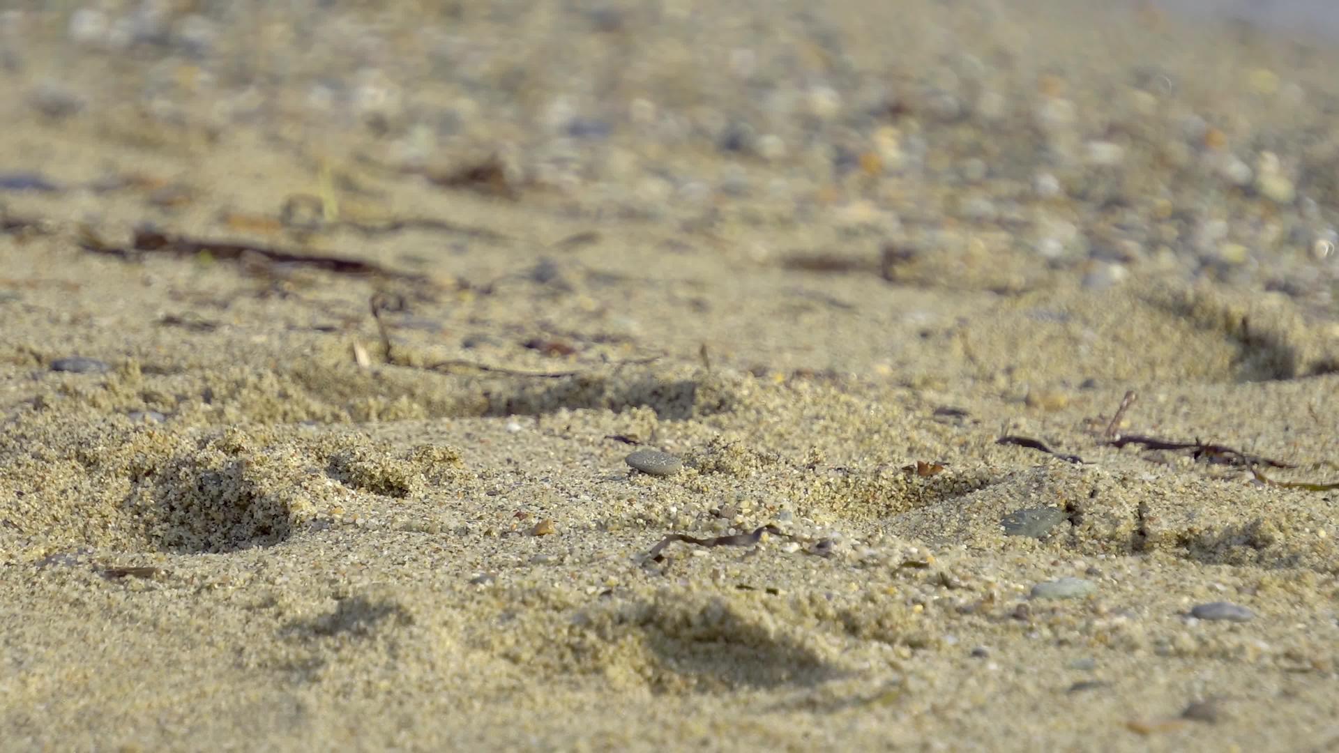 石头沙滩和波浪背景视频的预览图