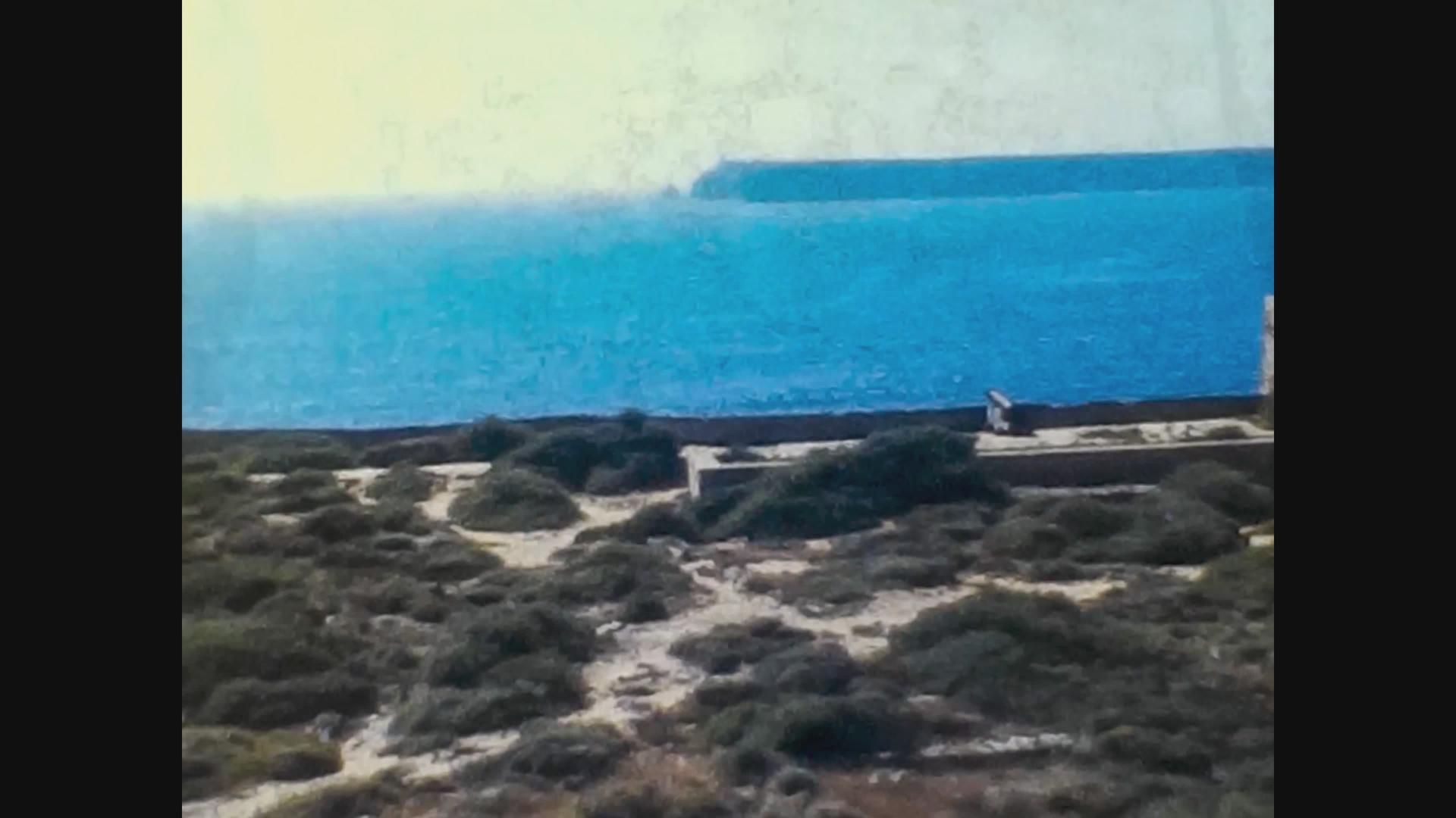 B冰川地表岩石海岸1982年视频的预览图