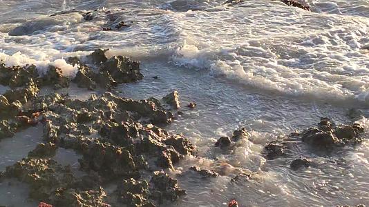 Bayahibe2带水的海岸线断裂岩石视频的预览图