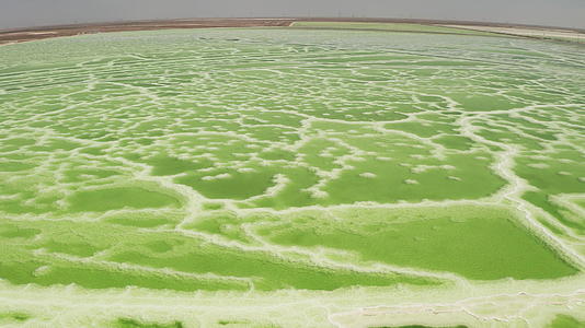 绿色盐湖自然湖底背景视频的预览图