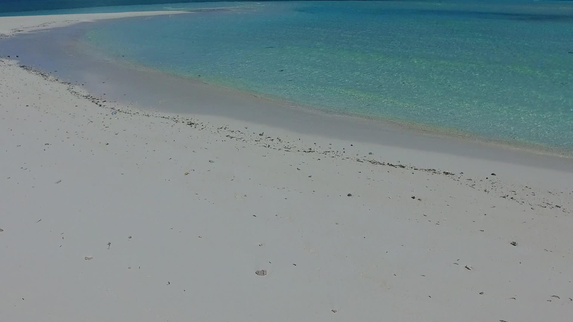 沿海海滩海海滩野生生物通过棕榈树附近的清水和浅沙背景视频的预览图