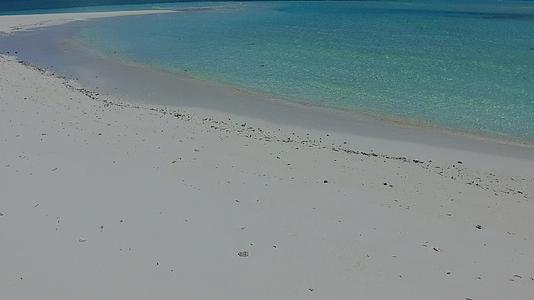 沿海海滩海海滩野生生物通过棕榈树附近的清水和浅沙背景视频的预览图
