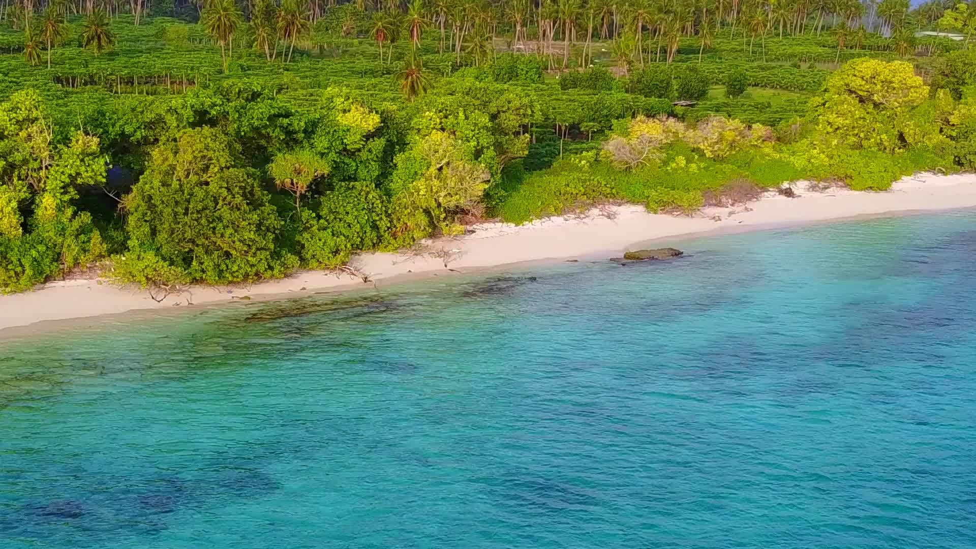 热带岛屿海滩时间以蓝绿水和日出后清洁海滩为背景视频的预览图