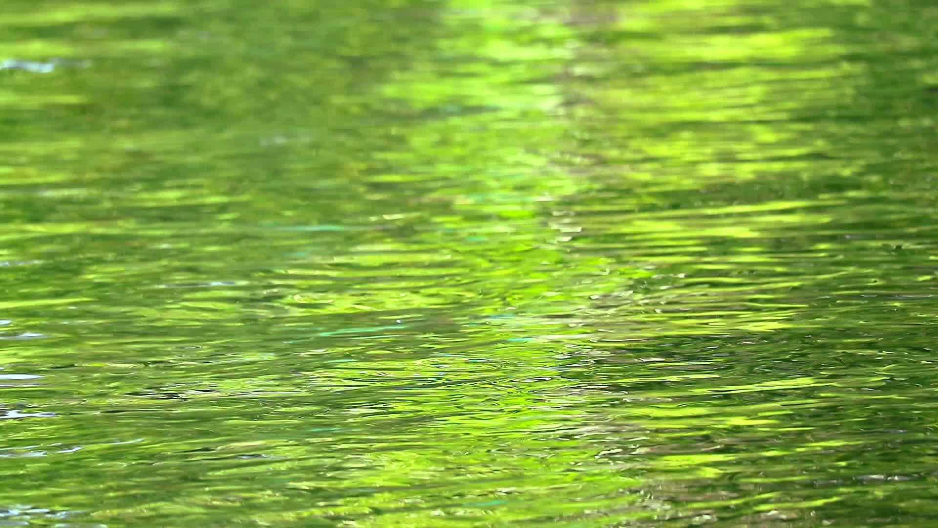 黄绿色的小浪在池塘水面上移动视频的预览图