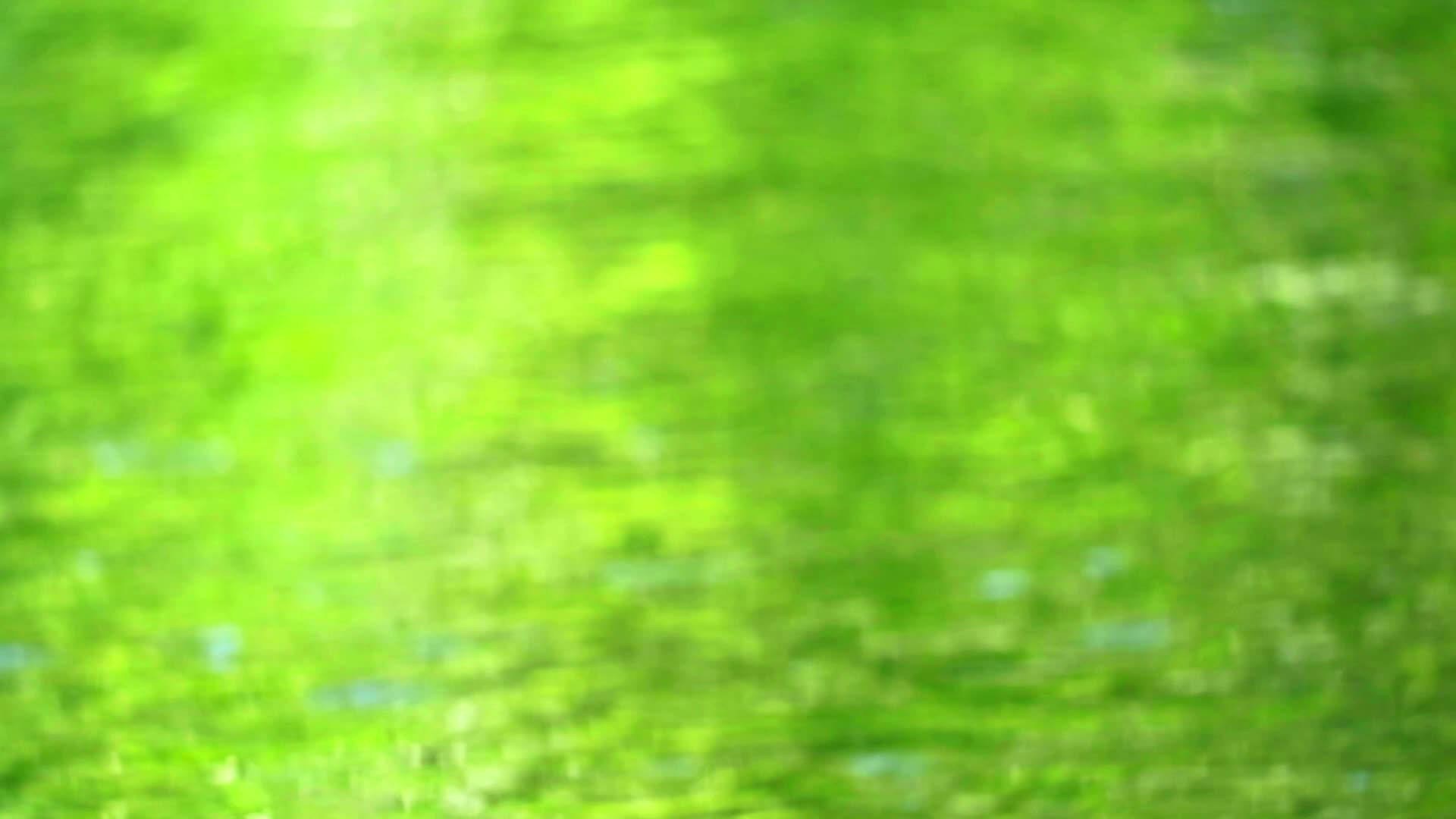绿色池塘中模糊水面的绿色性质抽象多彩波浪运动2视频的预览图