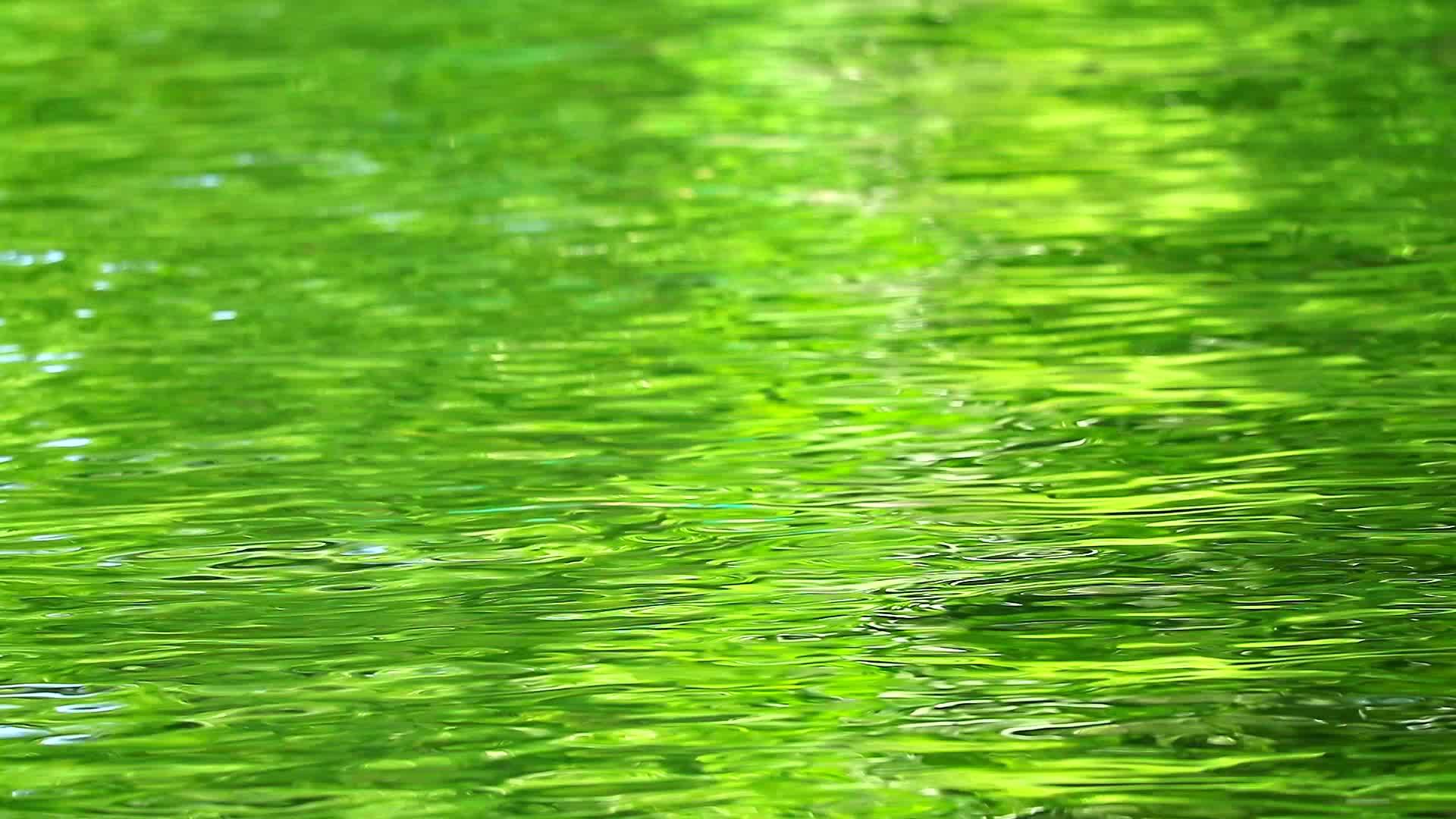 黄绿色的小浪在池塘水面上移动视频的预览图