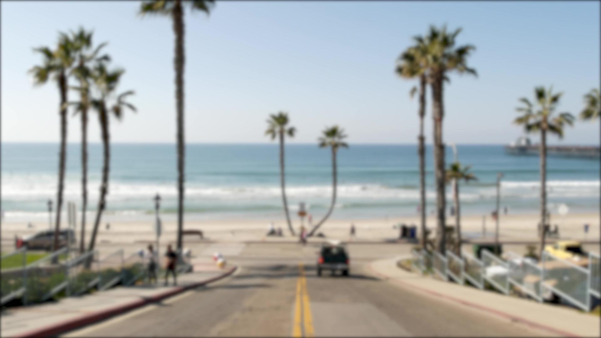夏天的棕榈树夏天的海岸靠近天使和海浪视频的预览图