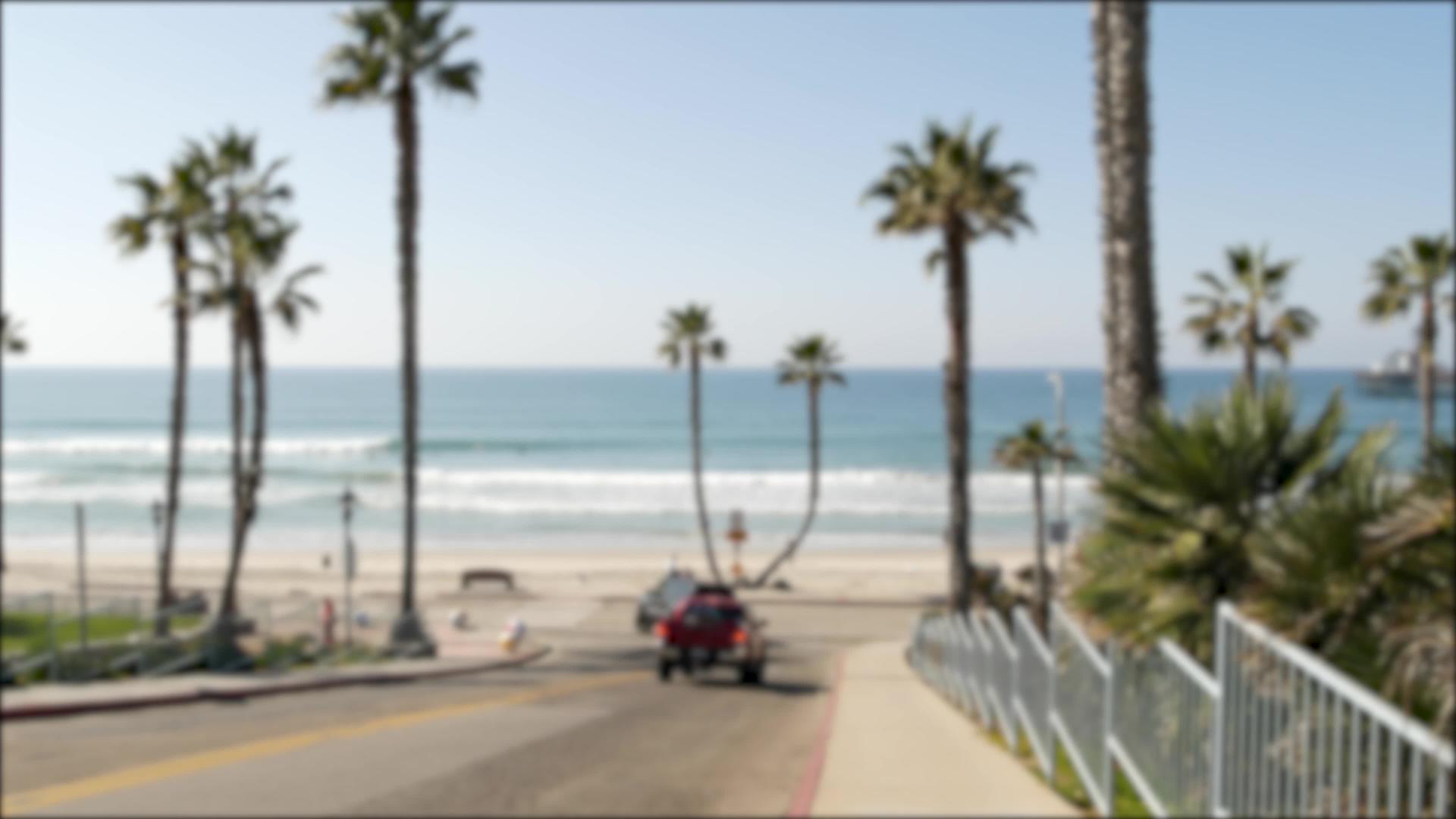 夏天的棕榈树夏天的海岸靠近天使和海浪视频的预览图